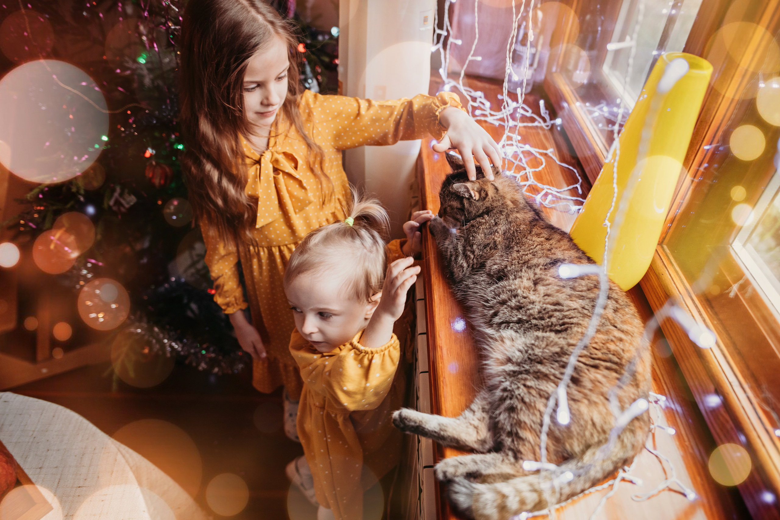 Волшество с дочками. Детский и семейный фотограф выпускной альбом Приморско-Ахтарск