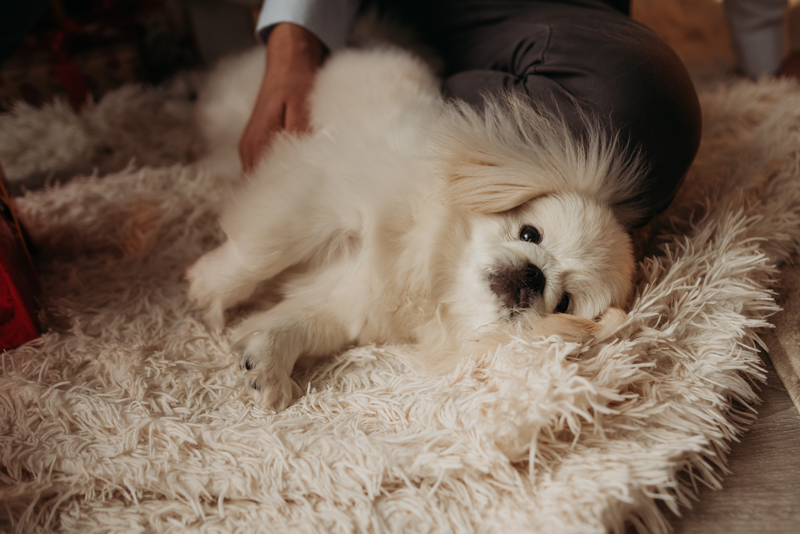 Новый год дома. Детский и семейный фотограф выпускной альбом Приморско-Ахтарск
