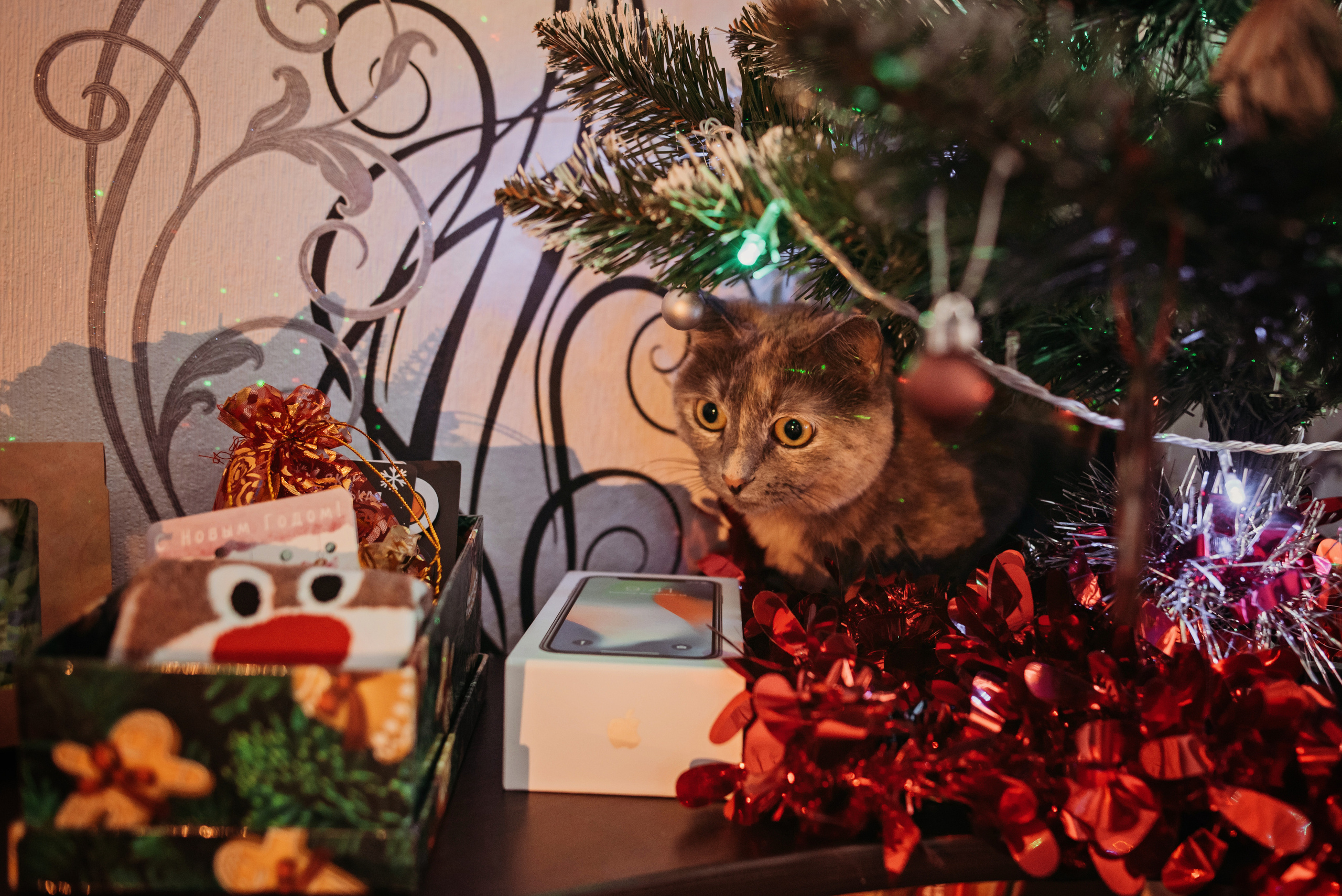 Любовь. Детский и семейный фотограф выпускной альбом Приморско-Ахтарск