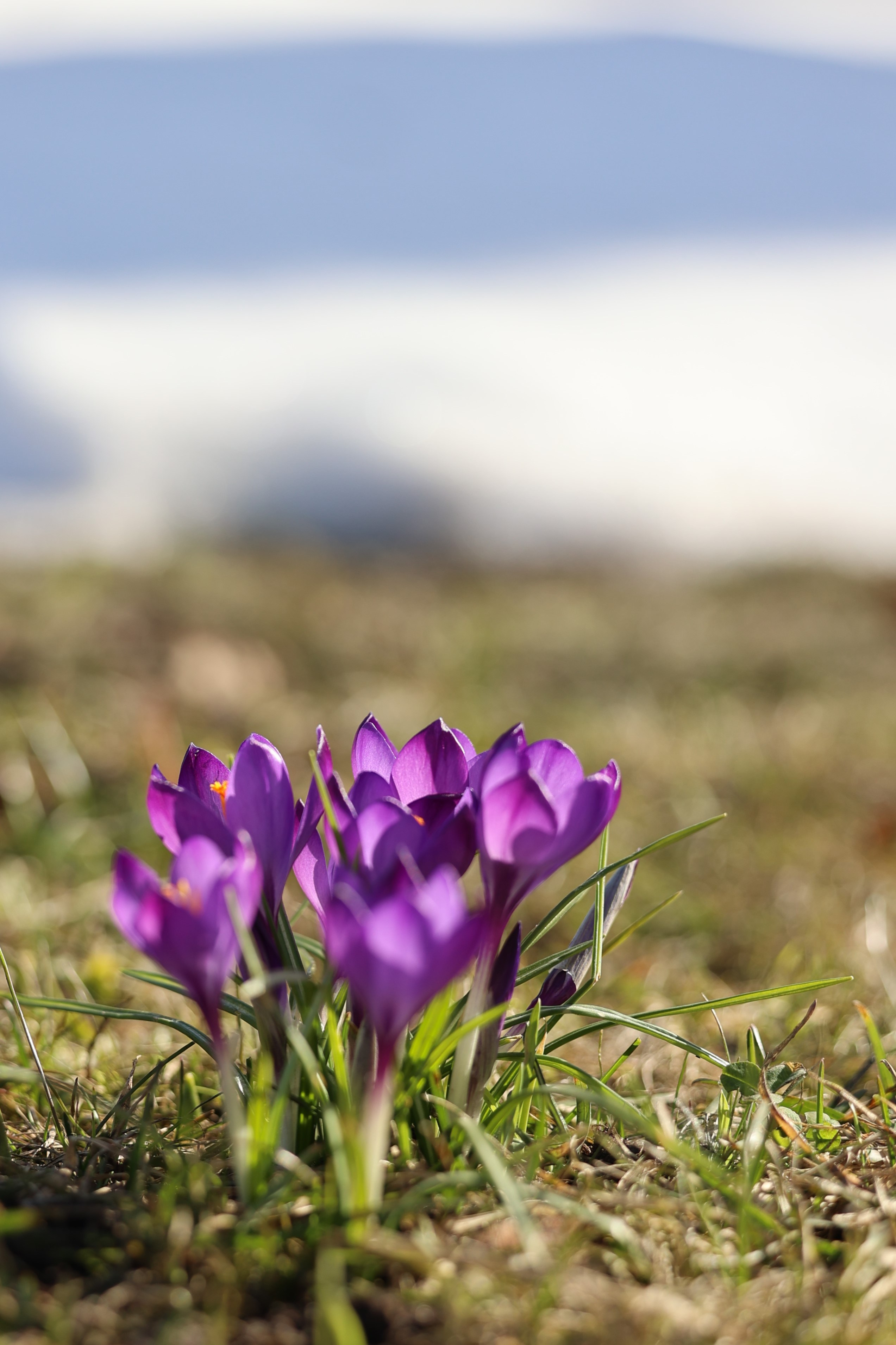 Любимое. Фотограф в Санкт-Петербурге Анна Сосновская