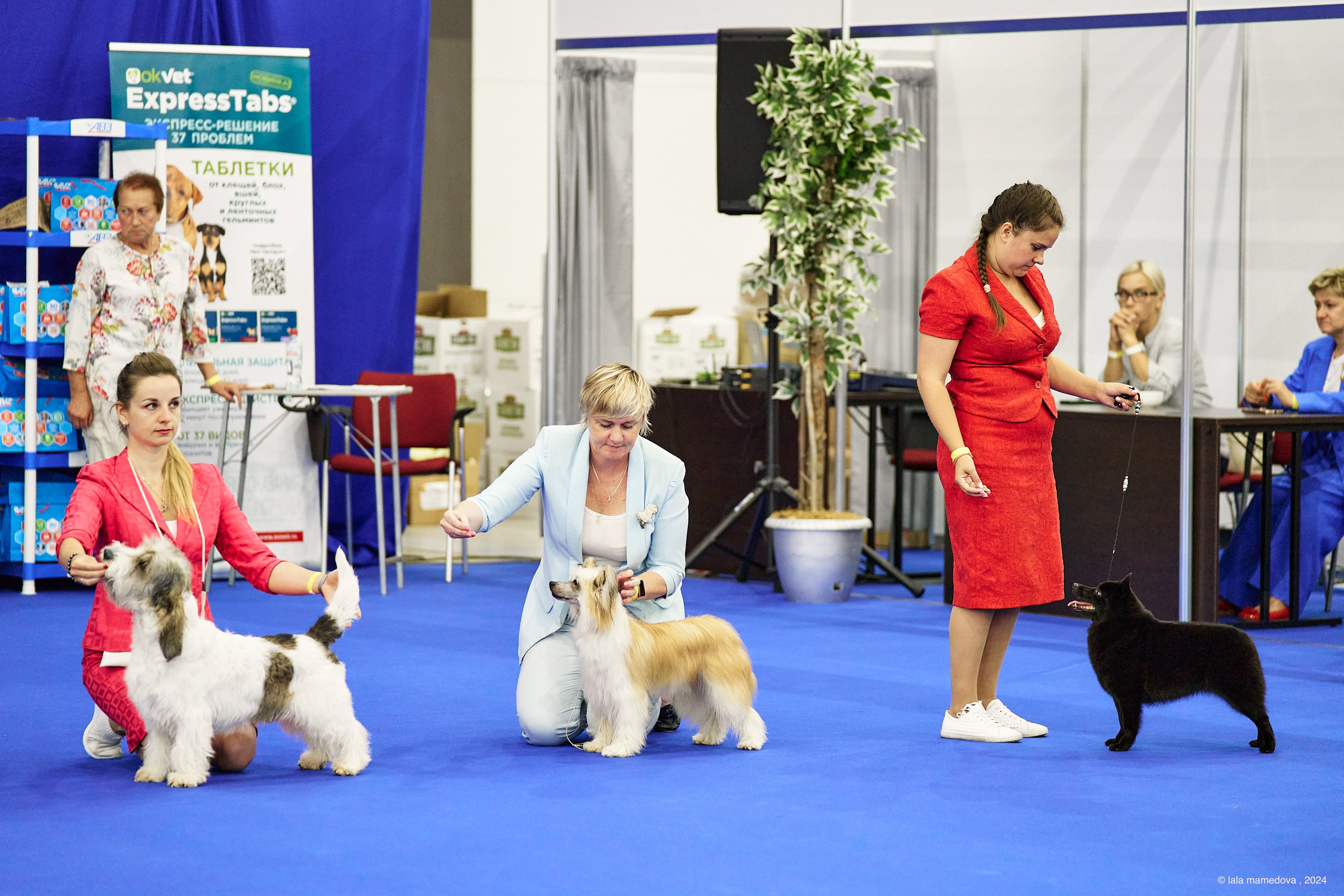 20.07.2024 | «БАЛТИК-ШОУ-1-2024»