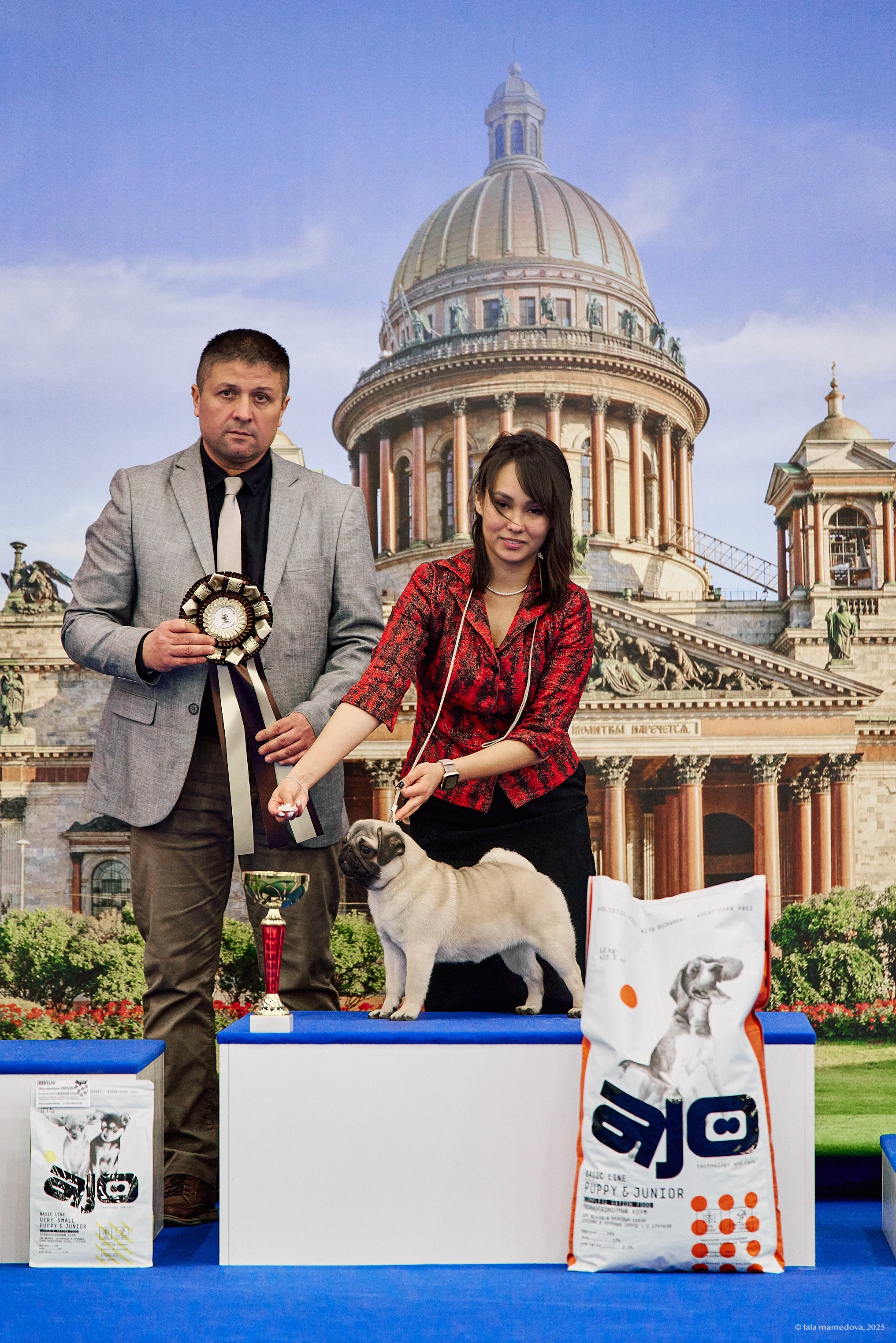 22-23 FEB 2025 | NATIONAL DOG SHOW «BALTIC TRIUMPH-2025»