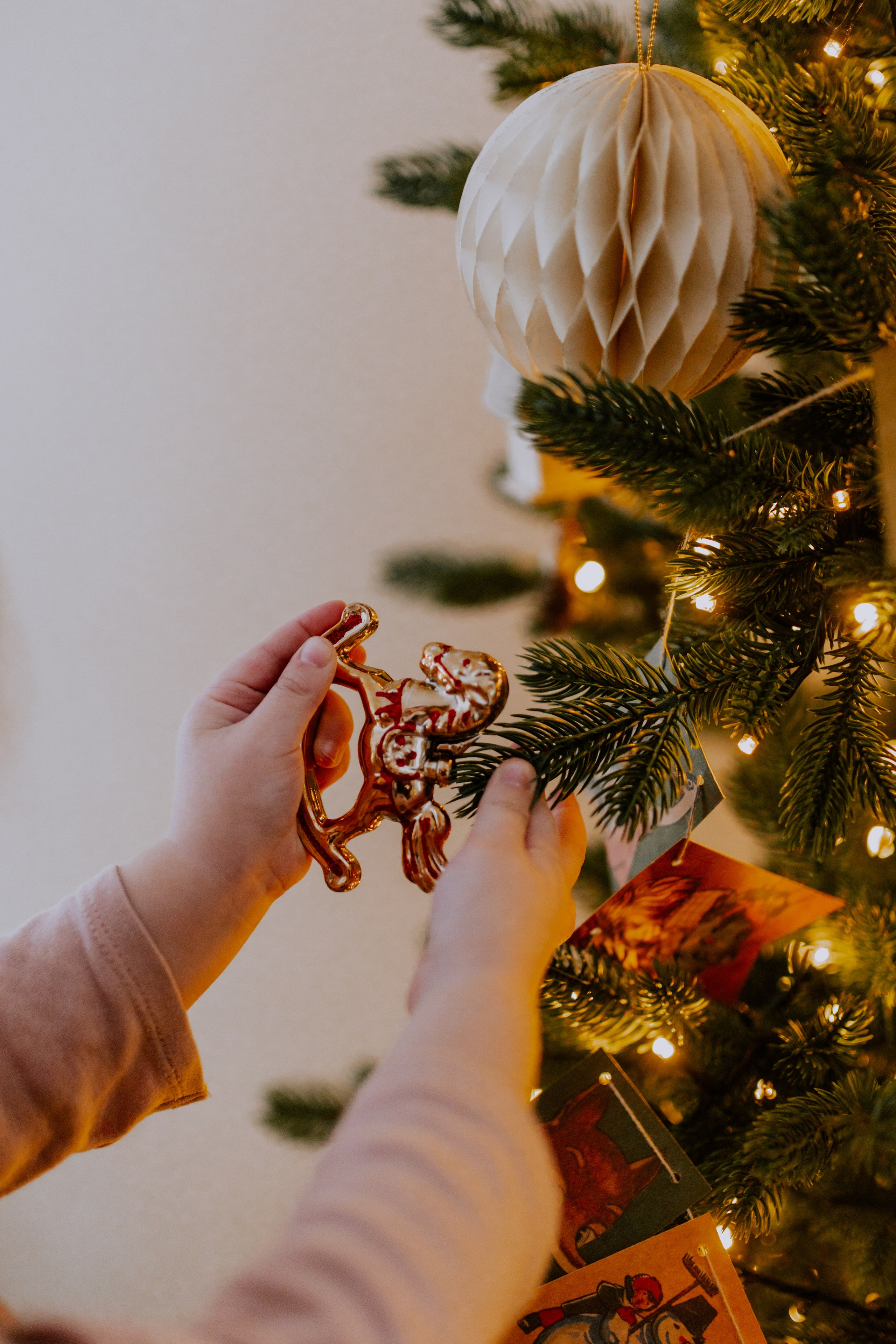 Весёлый Новый год. Фотограф Шелудкова Яна, город Тюмень