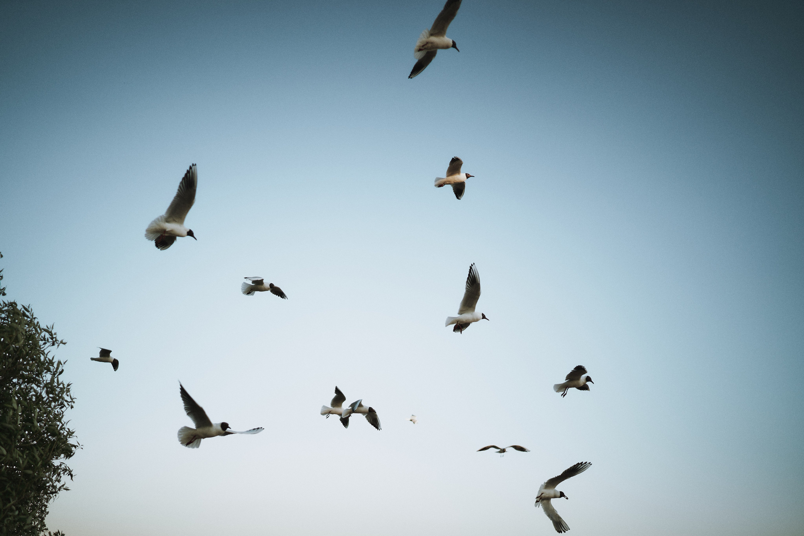 Лиза, Илья и Миша. Фотограф в Санкт-Петербурге | Аня Маленчук