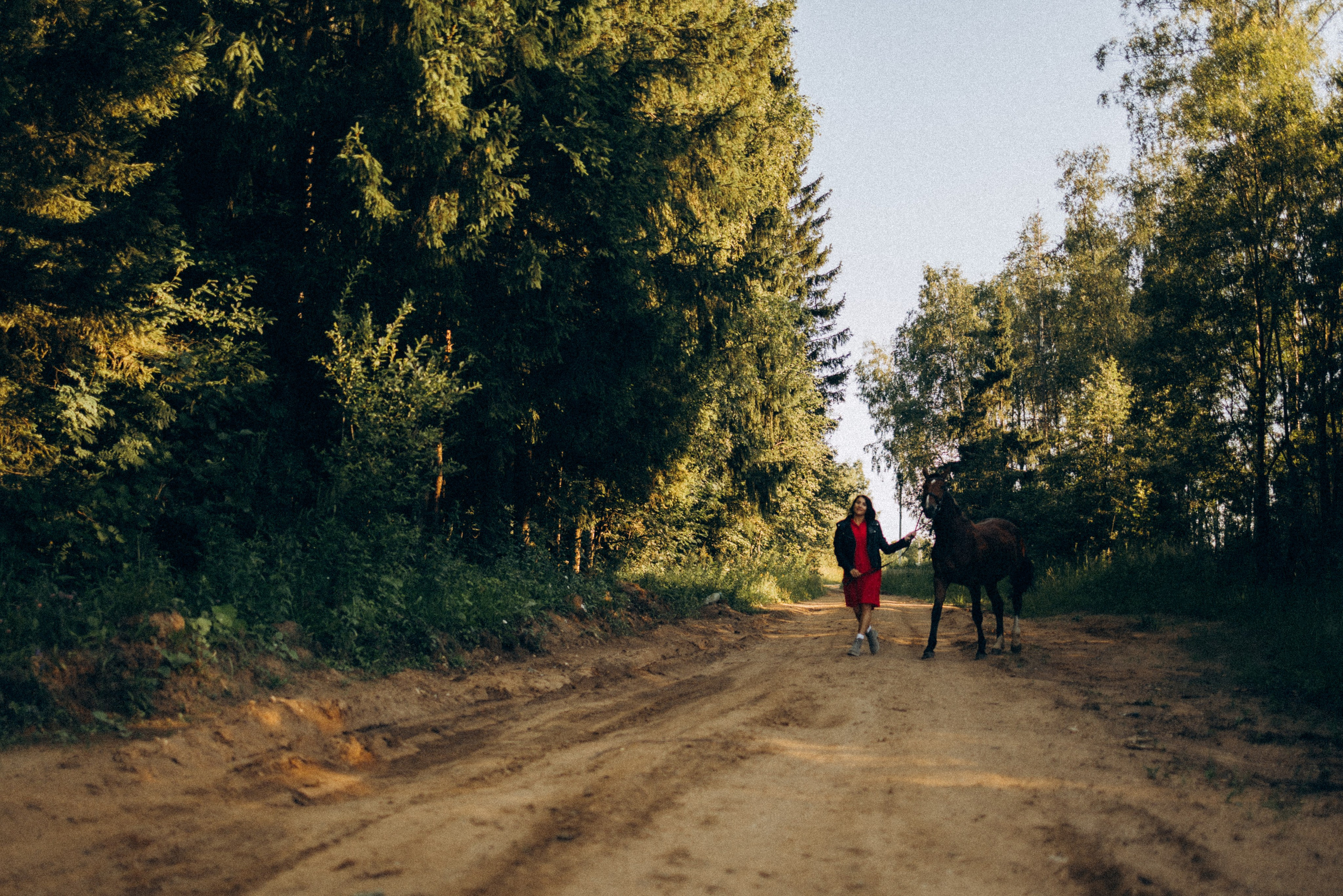 А в деревни лошади. Фотограф Москва Светлана Кирюшина
