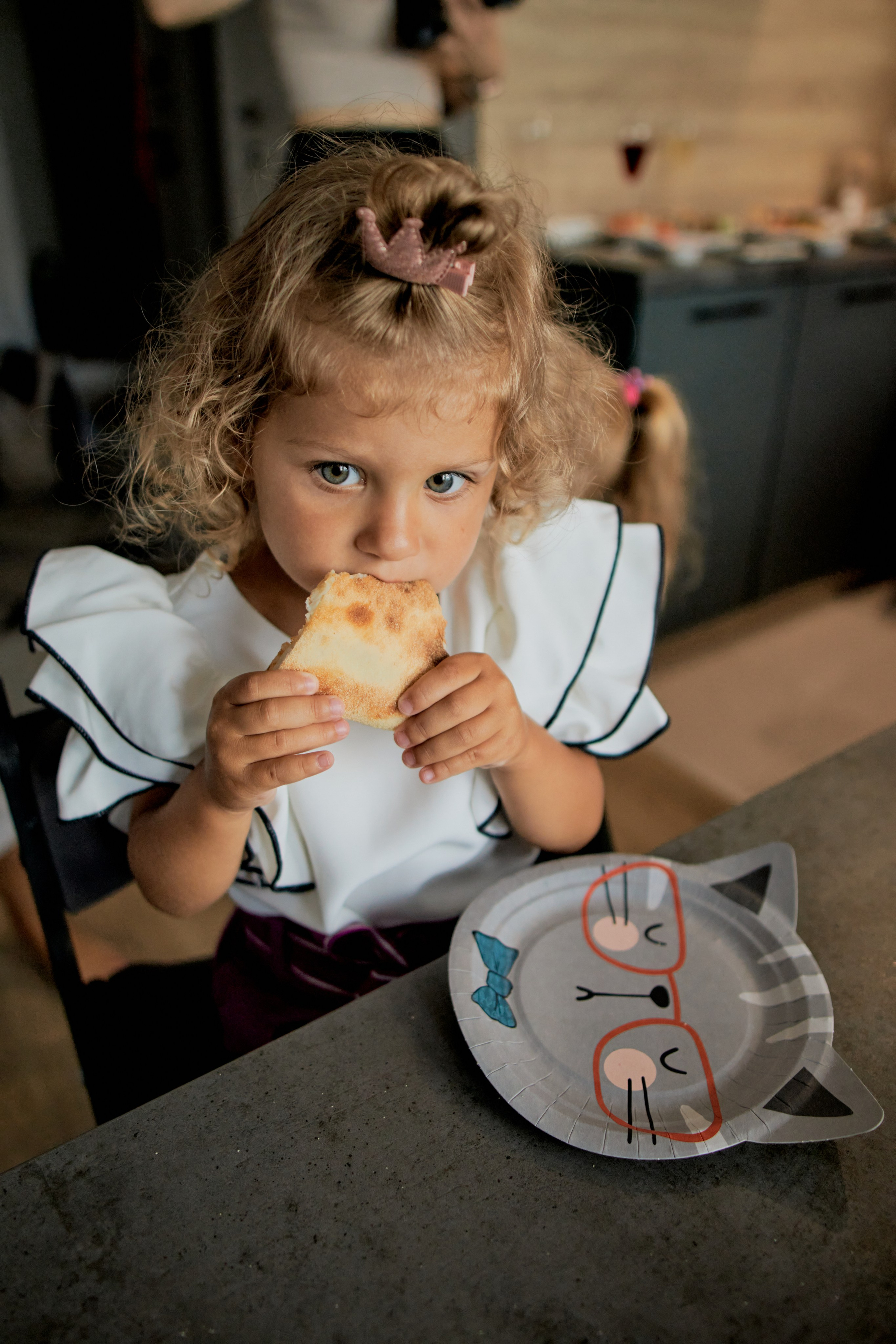 Три кота. Фотограф Москва