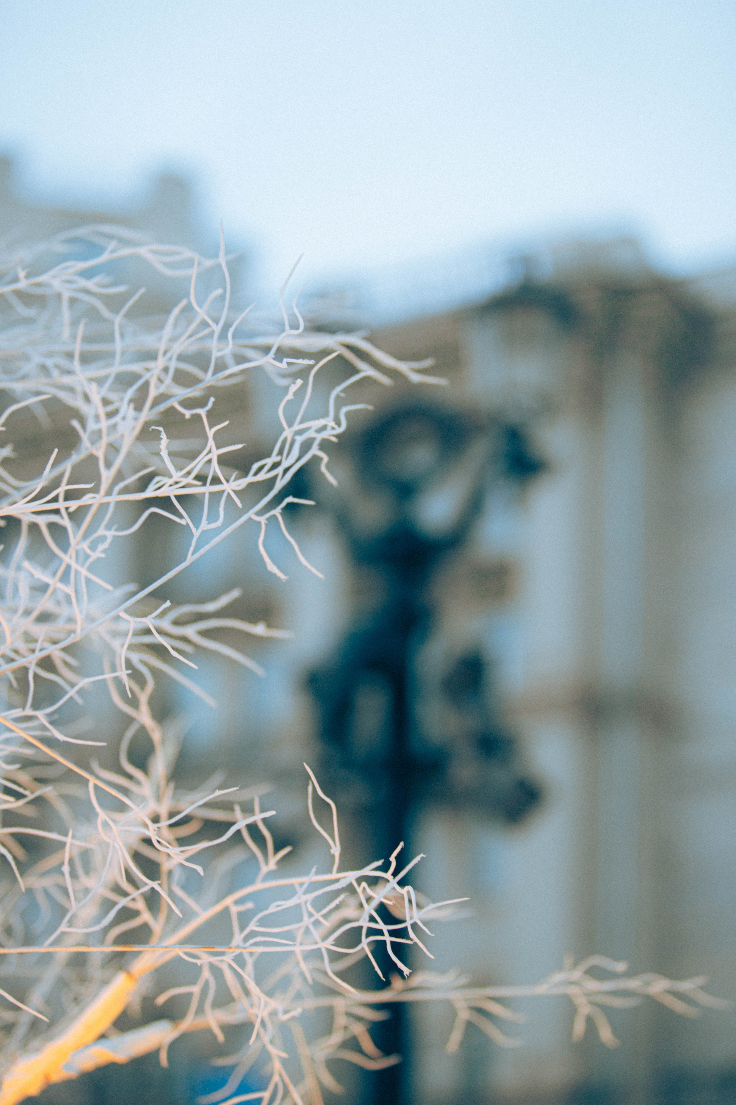 Ночная Москва. Александра Мельниченко/ Бегающий фотограф