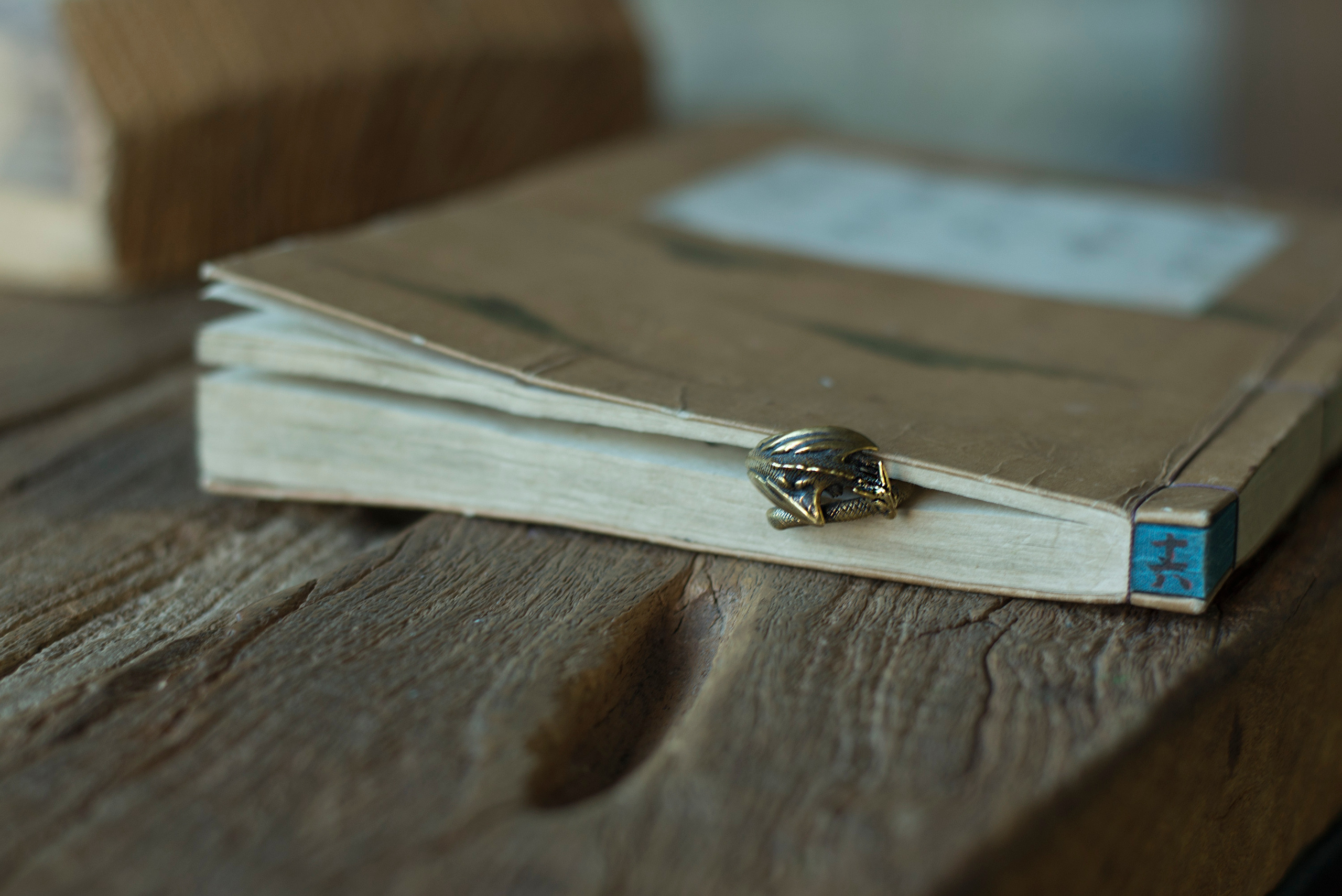 Фото-сессия Натальи. Фотограф-портретист в Москве и Зеленограде Наташа Лев