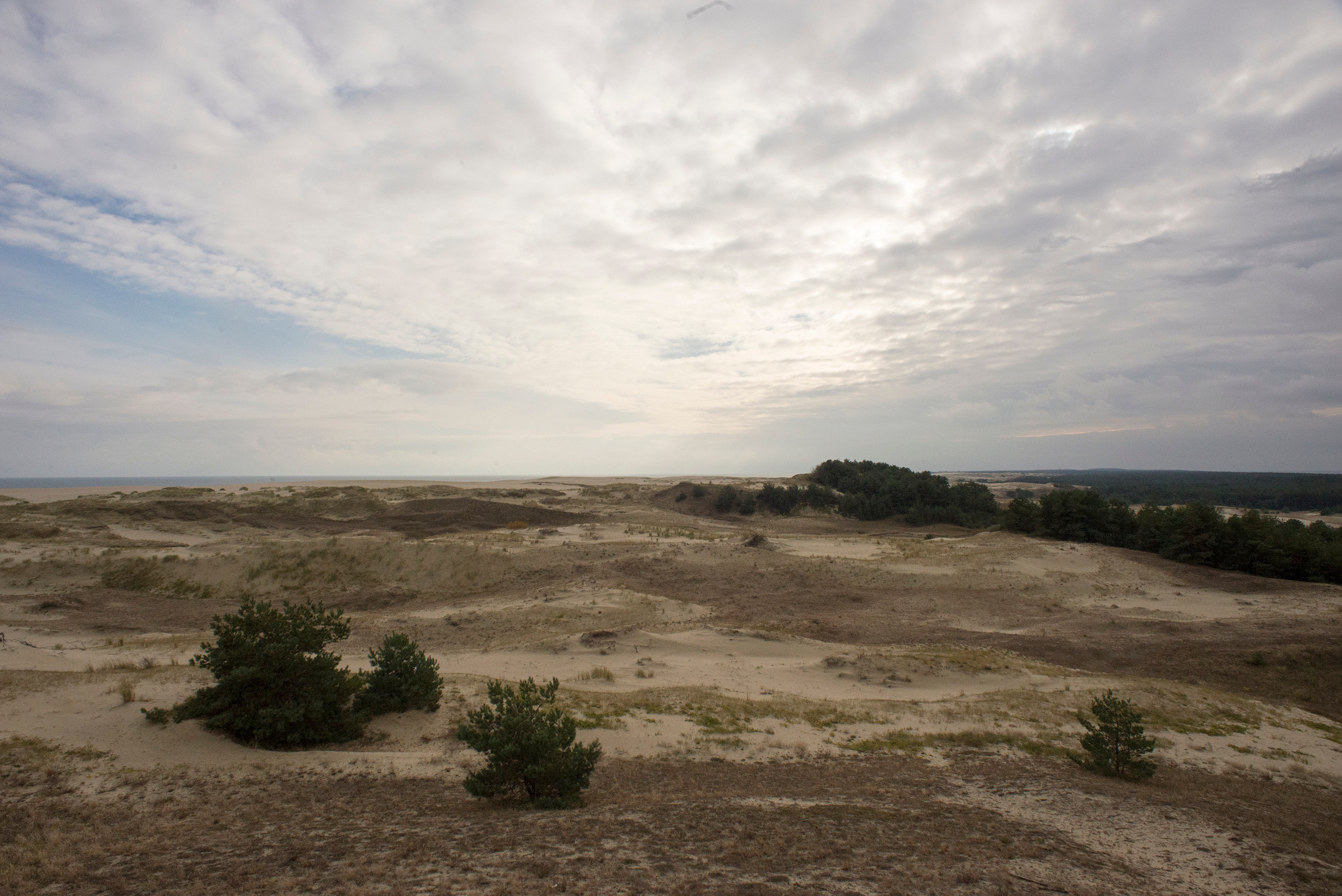 Фото-сессия на Куршской косе. Фотограф-портретист в Москве и Зеленограде Наташа Лев