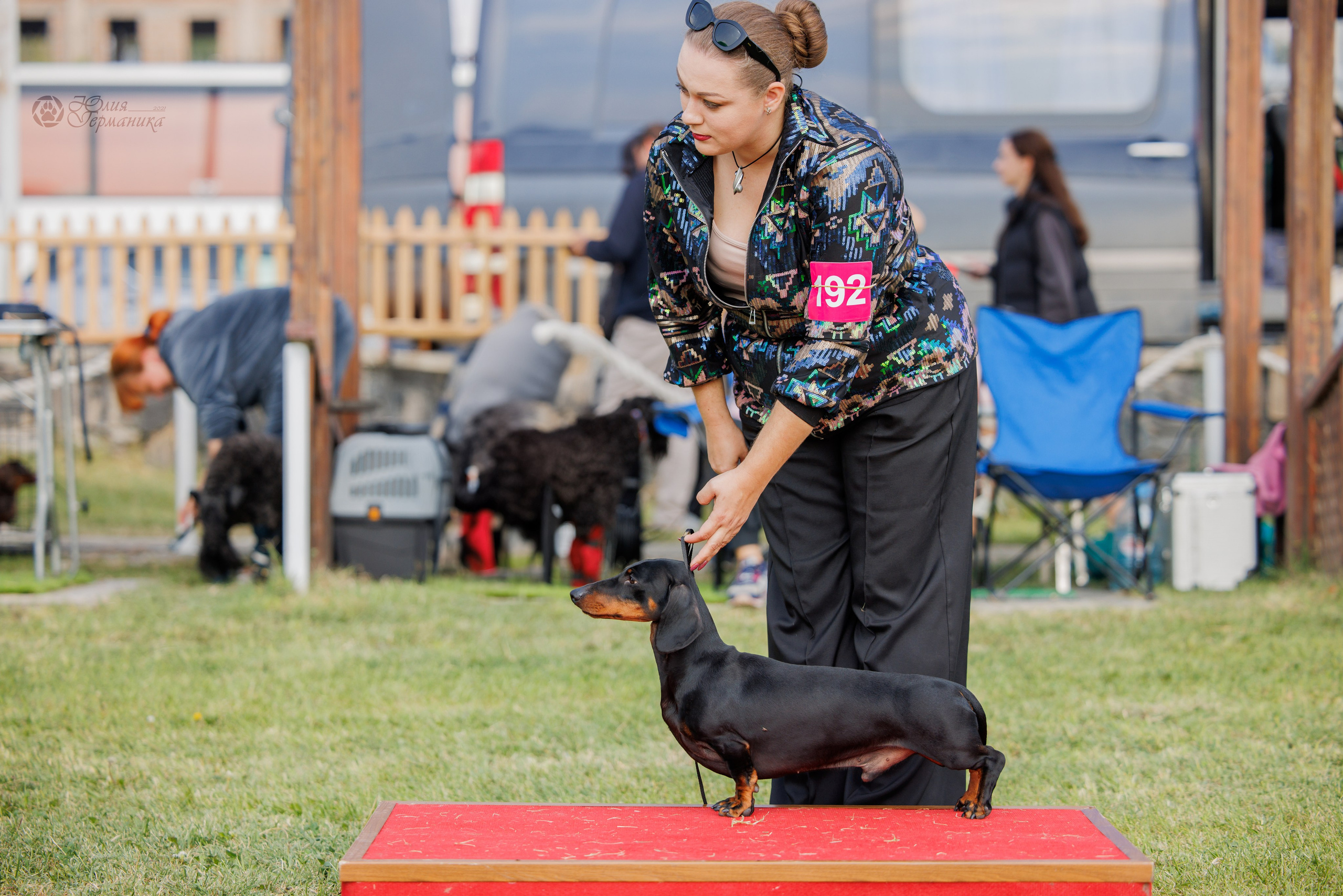 Армения,Ереван 3хCACIB 15-17.10.2024. Фотограф-анималист Юлия Германика