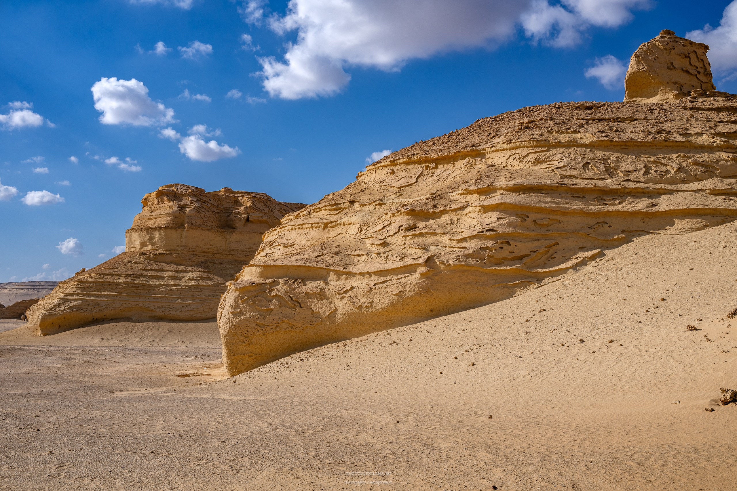 Снова в пустыню, за скелетами…. Авторские стильные фотокартины