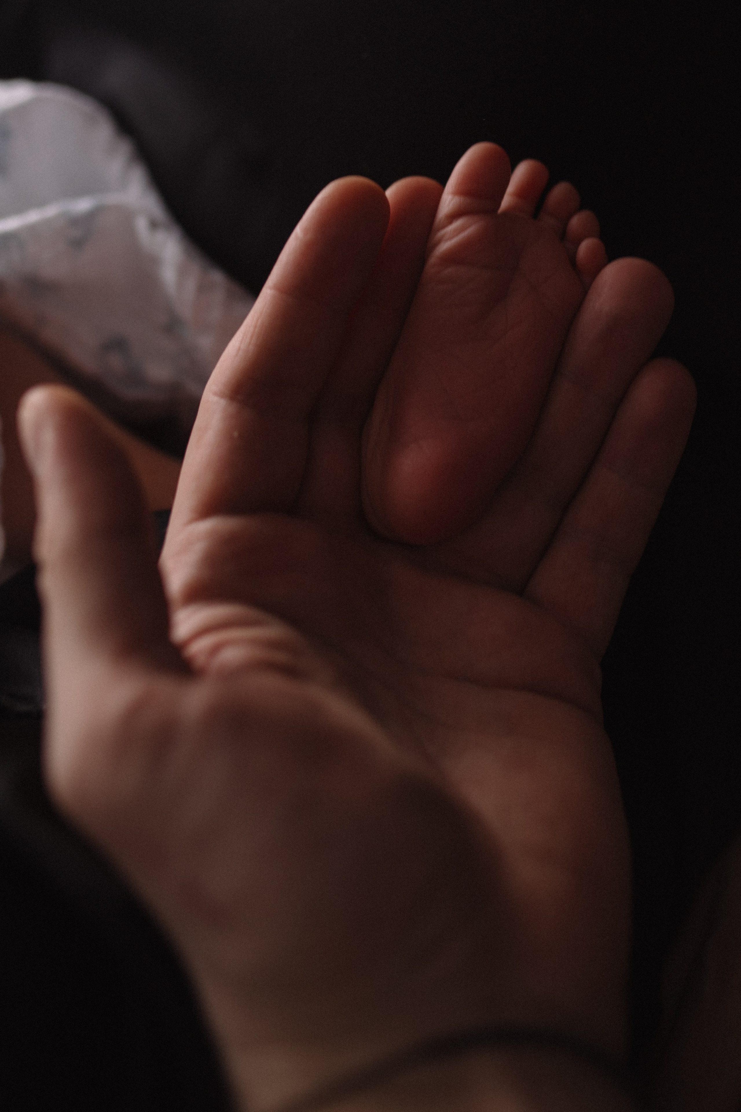 Лев. Семейный фотограф в Москве и Люберцах Юлия Гуськова