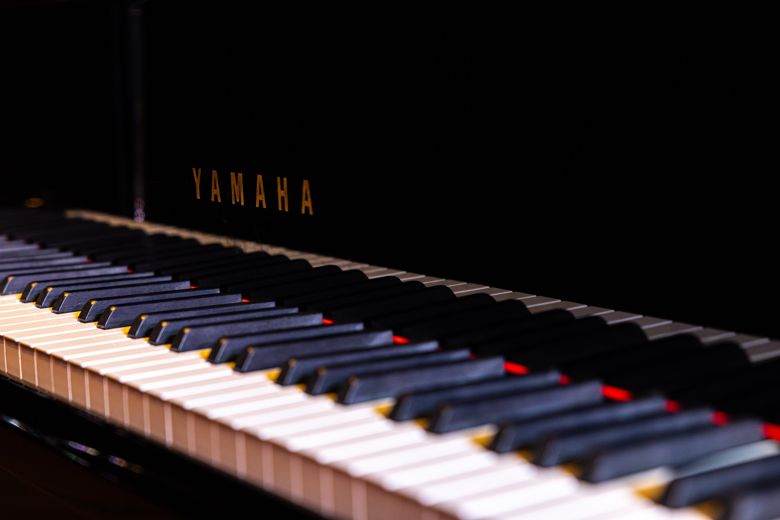 Творческий вечер Оксаны Фёдоровой. Виктория Зудина — фотограф в Москве