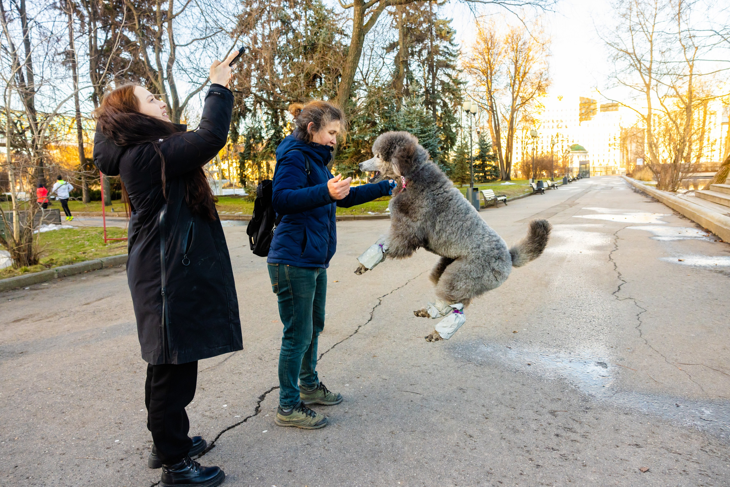 Клуб грумеров (прогулка и семинары). Виктория Зудина — фотограф в Москве