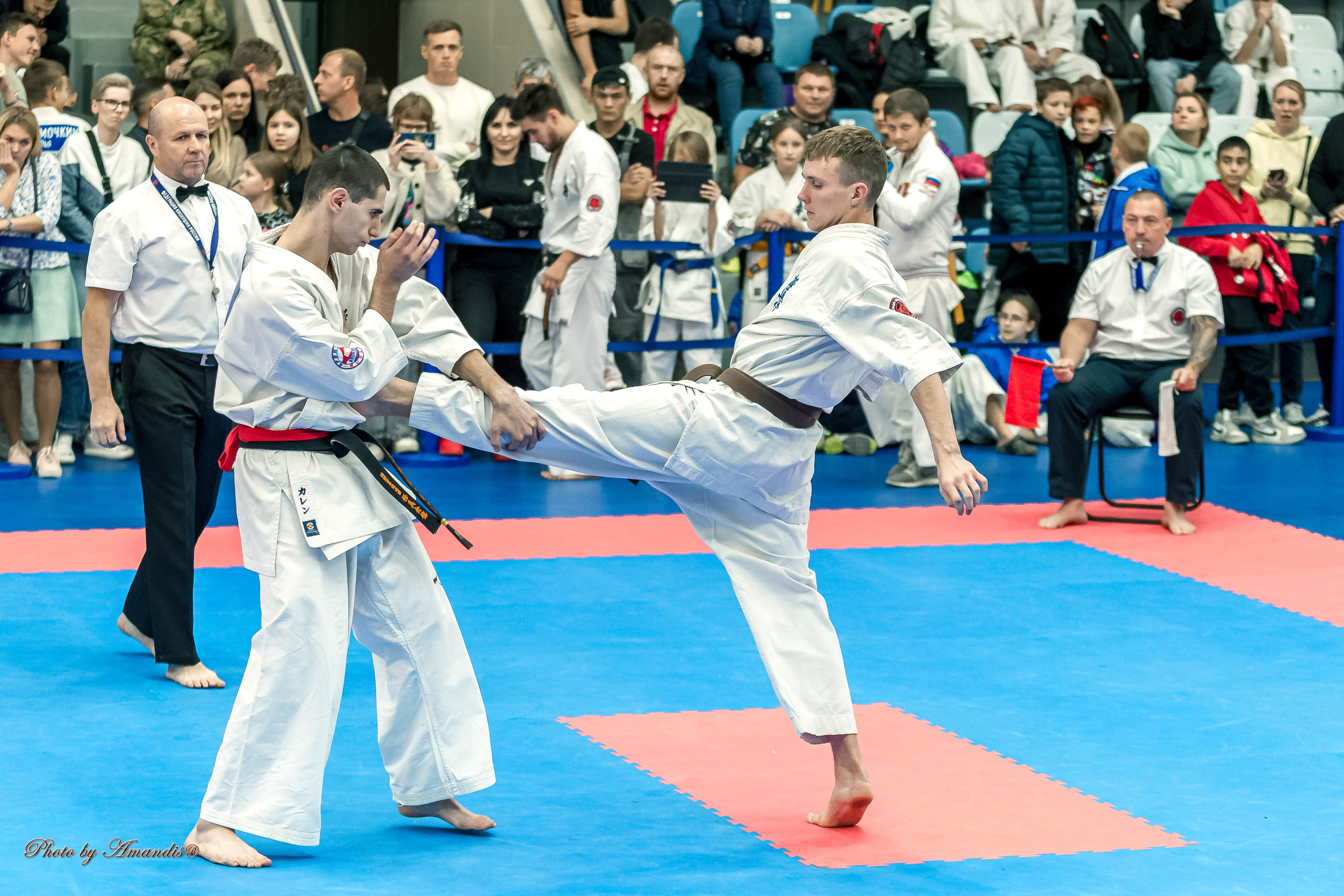 Чемпионат по Киокушинкай Центрального Федерального округа. Репортажная съемка в Москве и области. Анималистика