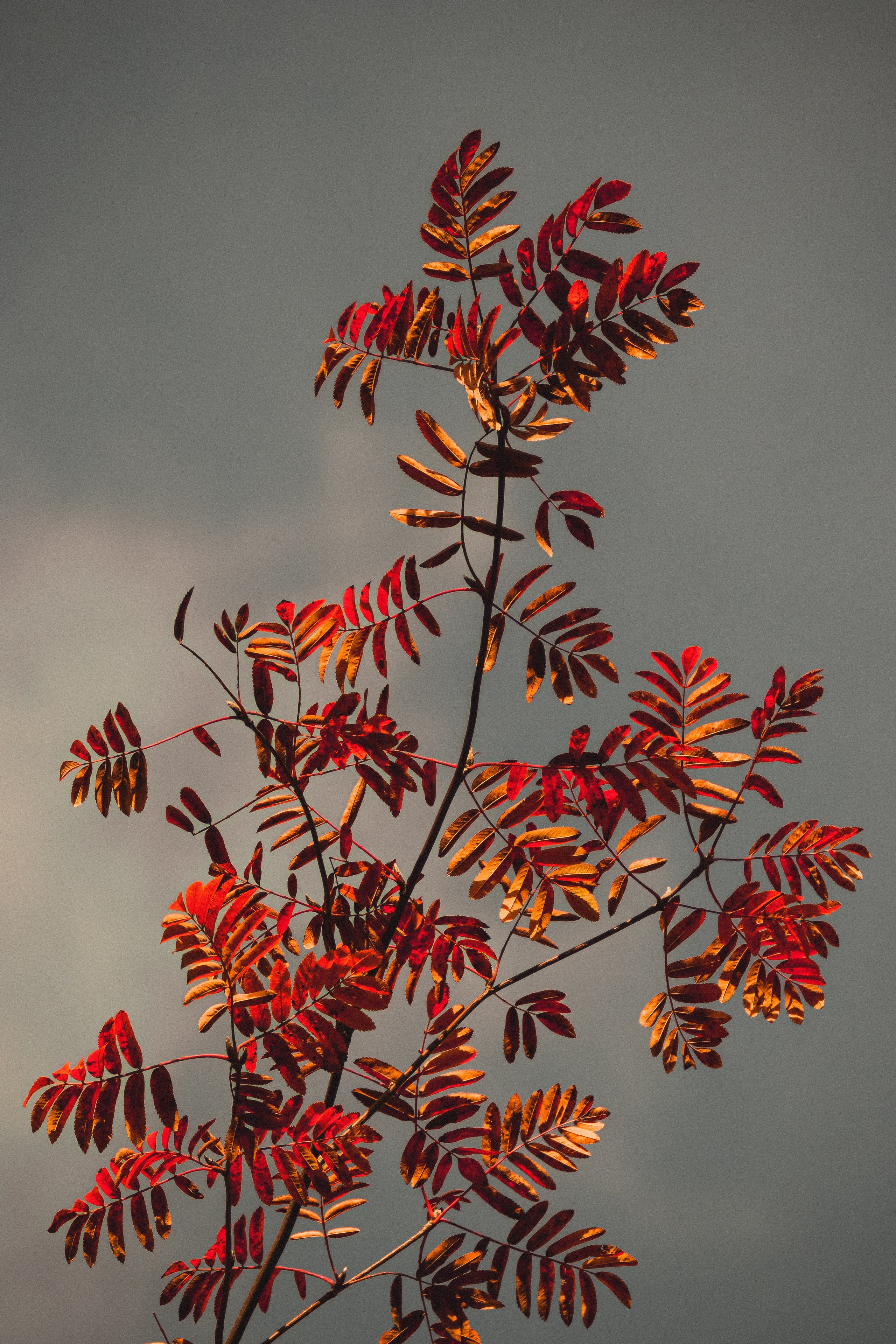 М И Н И М А Л И З М. — Digital Noise —