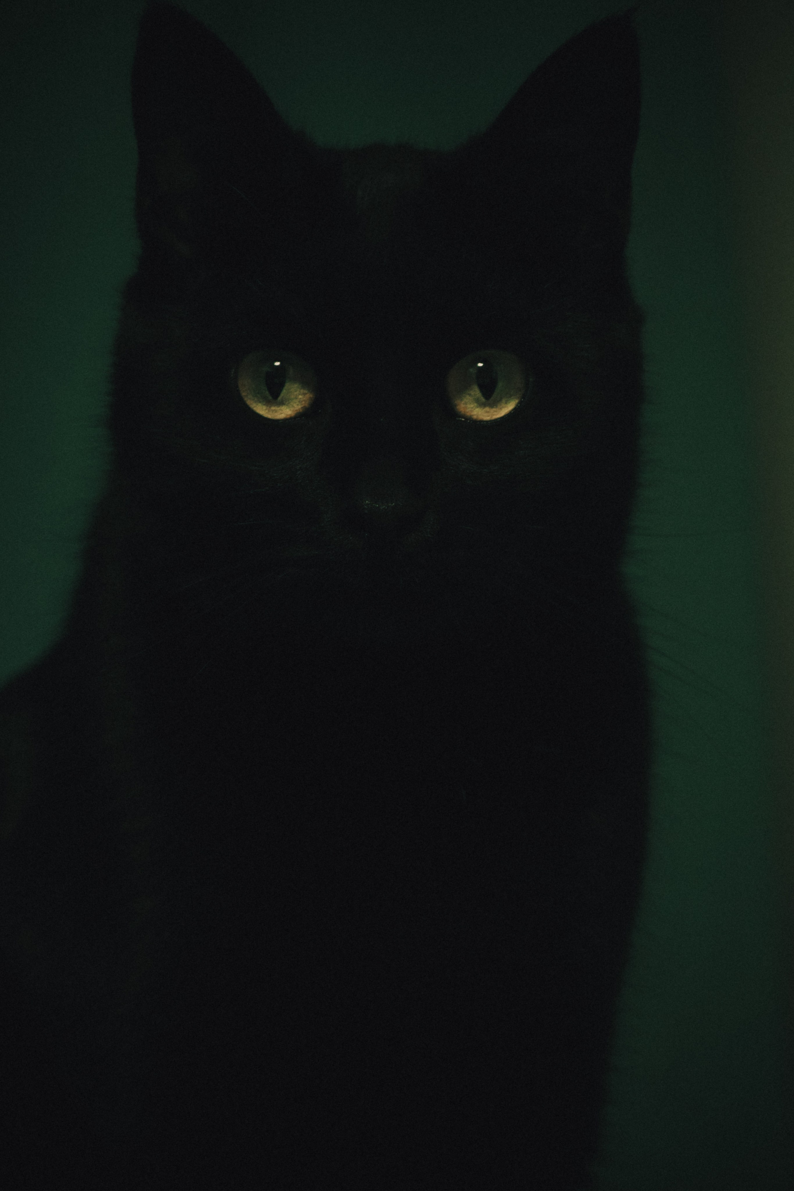 Л Ю Ц И Ф Е Р. — Digital Noise —