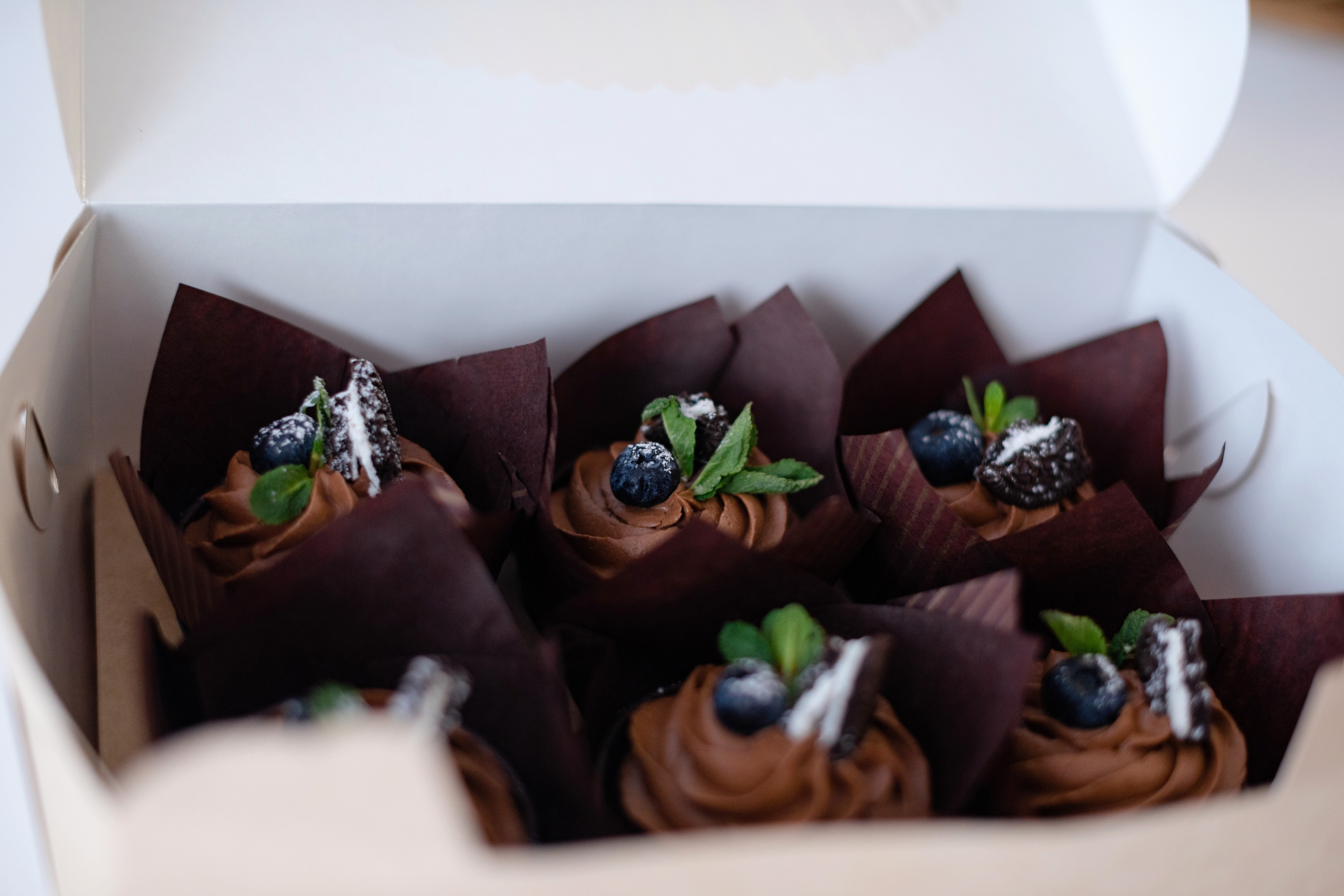 Фотограф Нефтеюганск