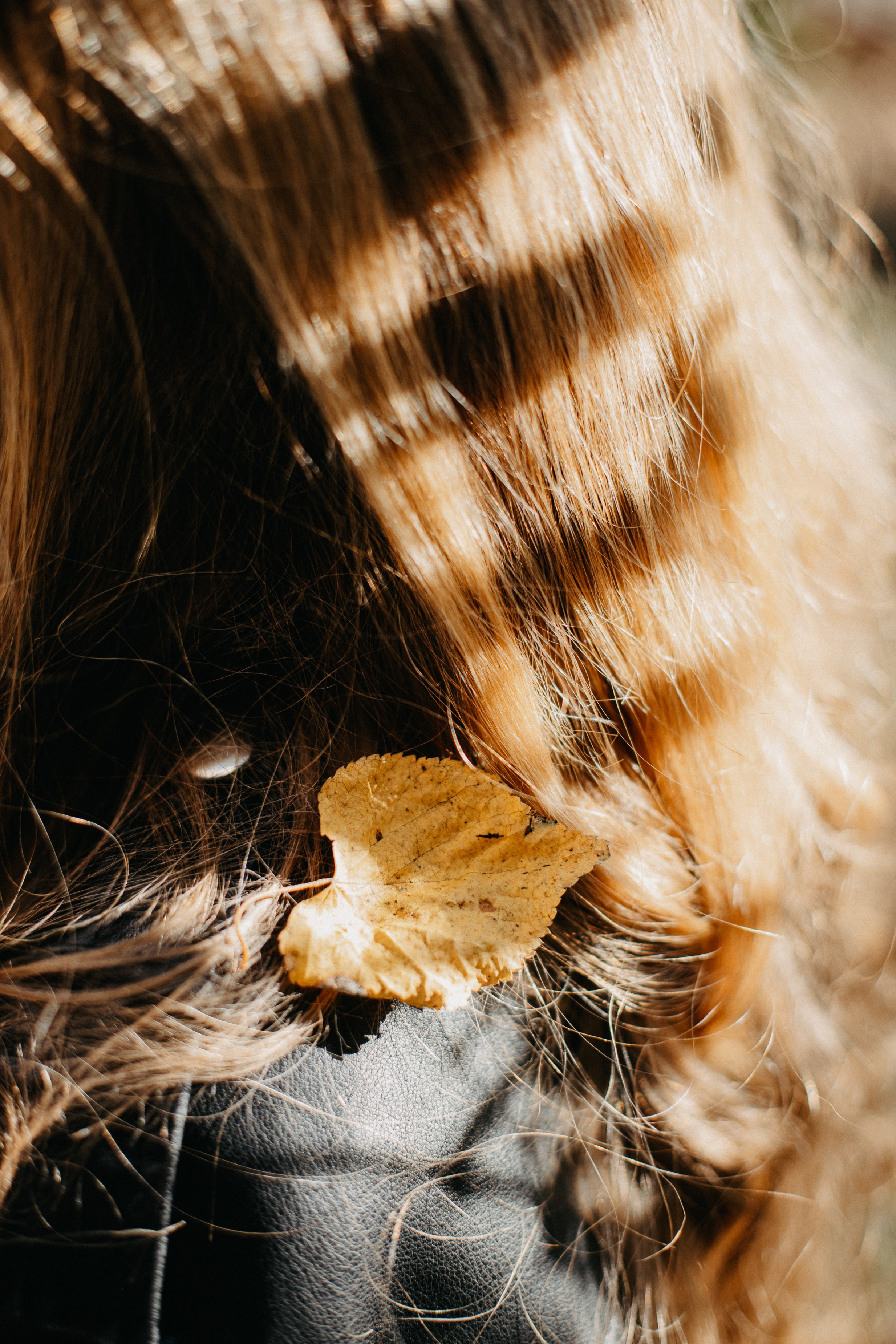 Надюша. Семейный фотограф Трусова Евгения в Екатеринбурге