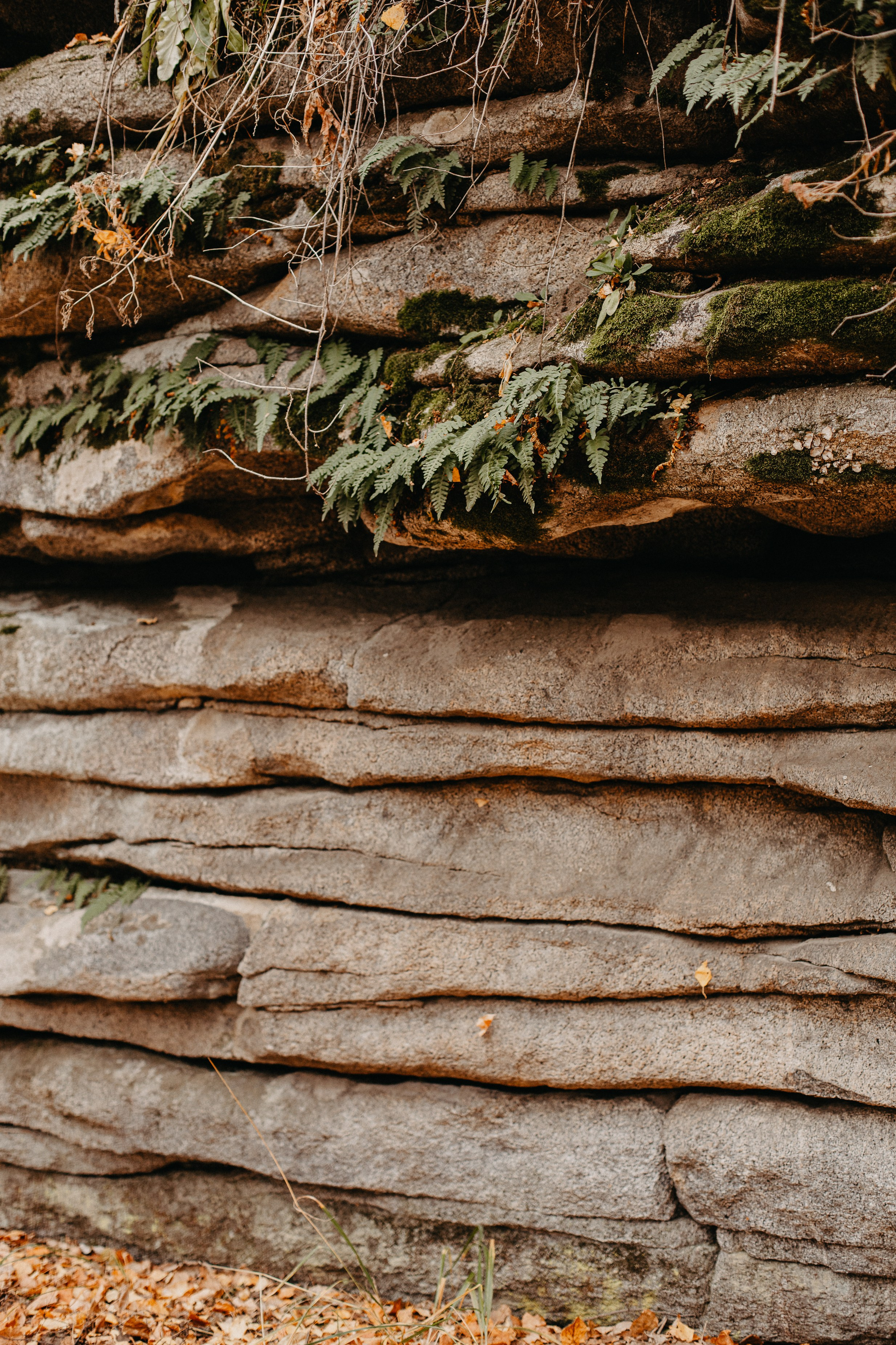 Семь Братьев. Семейный фотограф Трусова Евгения в Екатеринбурге