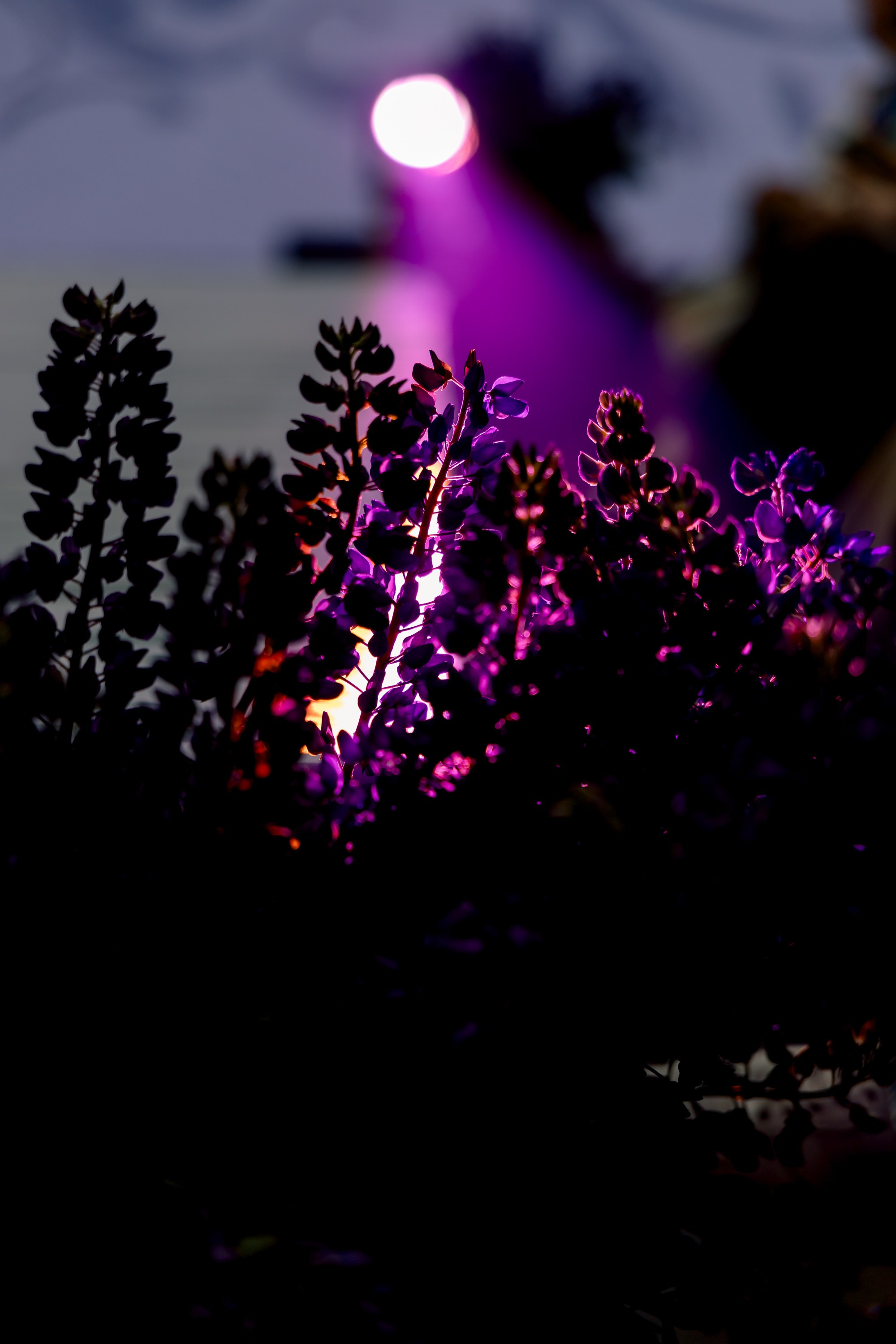 Smolensk Fashion Week 2025_День 2_Смоленская матрешка. Главная