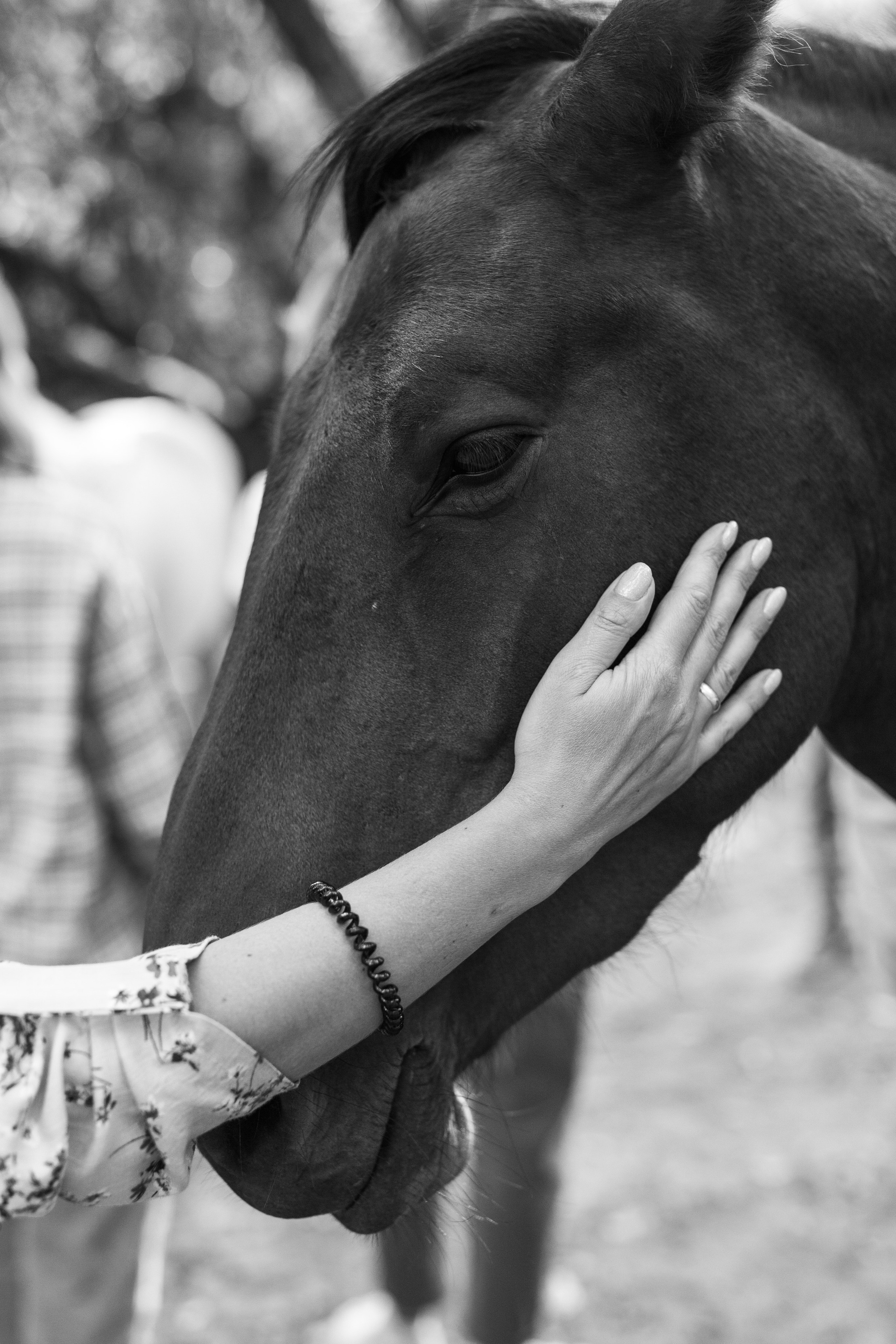Репортаж для «Райского сада». Портретный и семейный фотограф в Минске