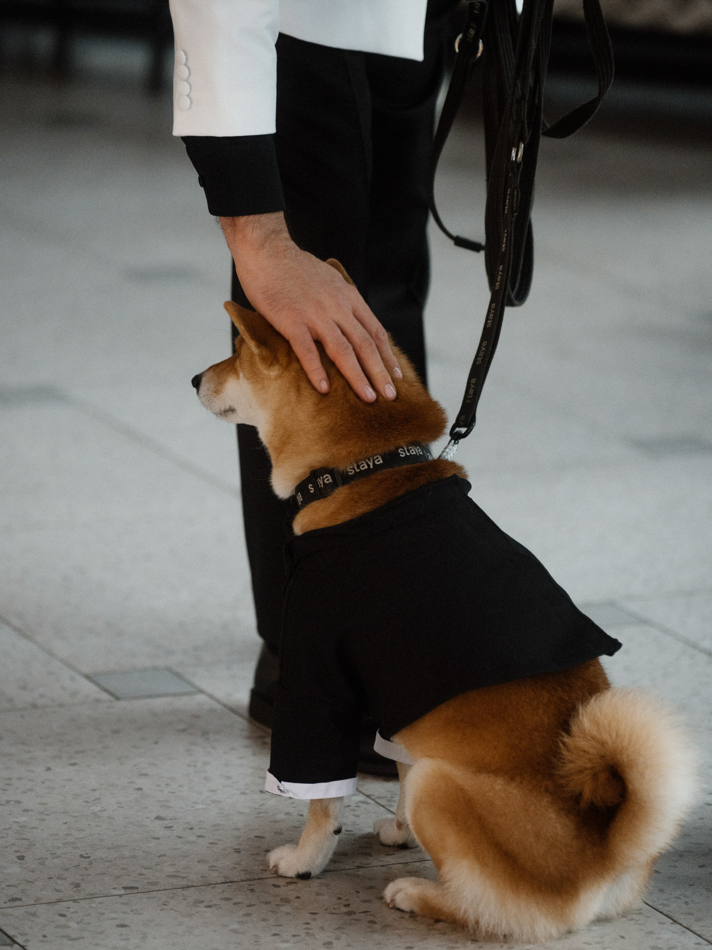 Red november. Свадебный фотограф Саша Базенко