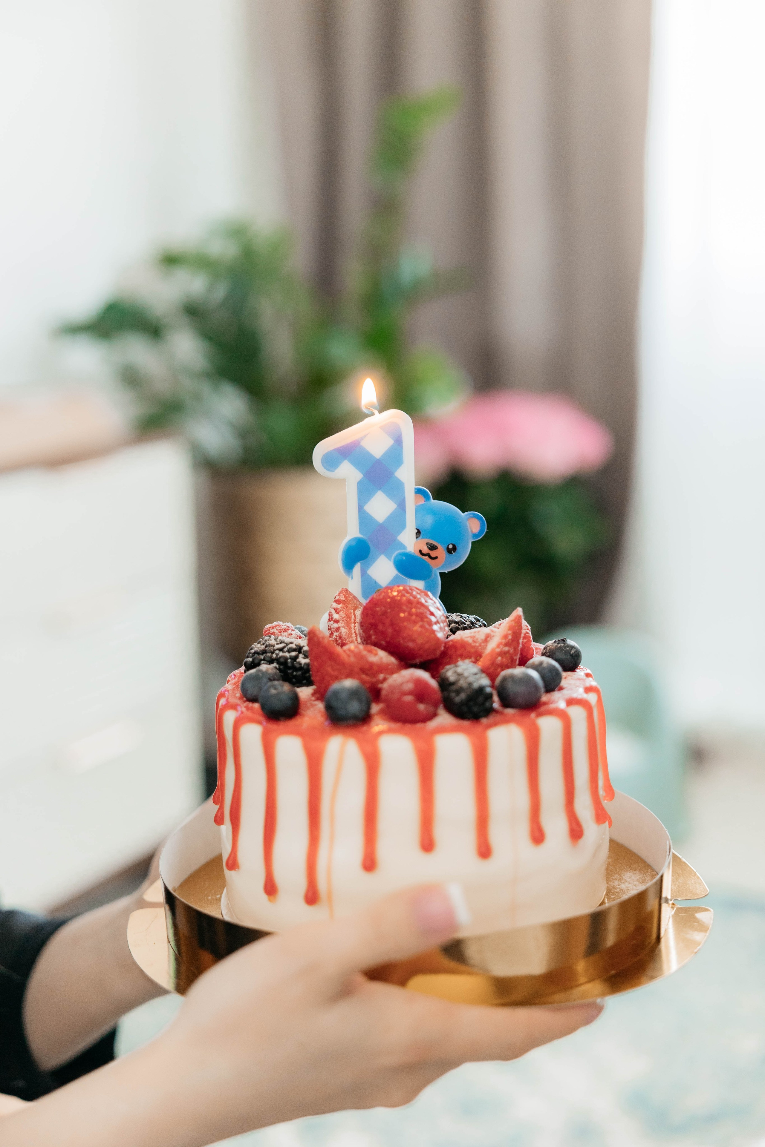 Лев. 2024 г. Персональный фотограф Катерина Литвинова