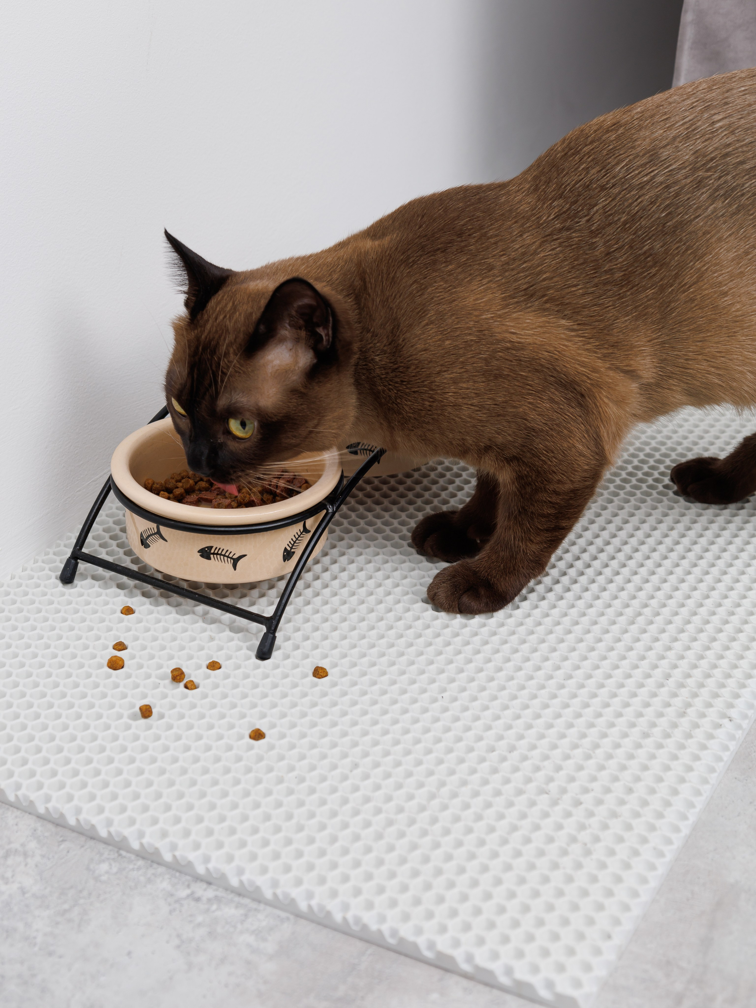 Съемка с животными. Главная