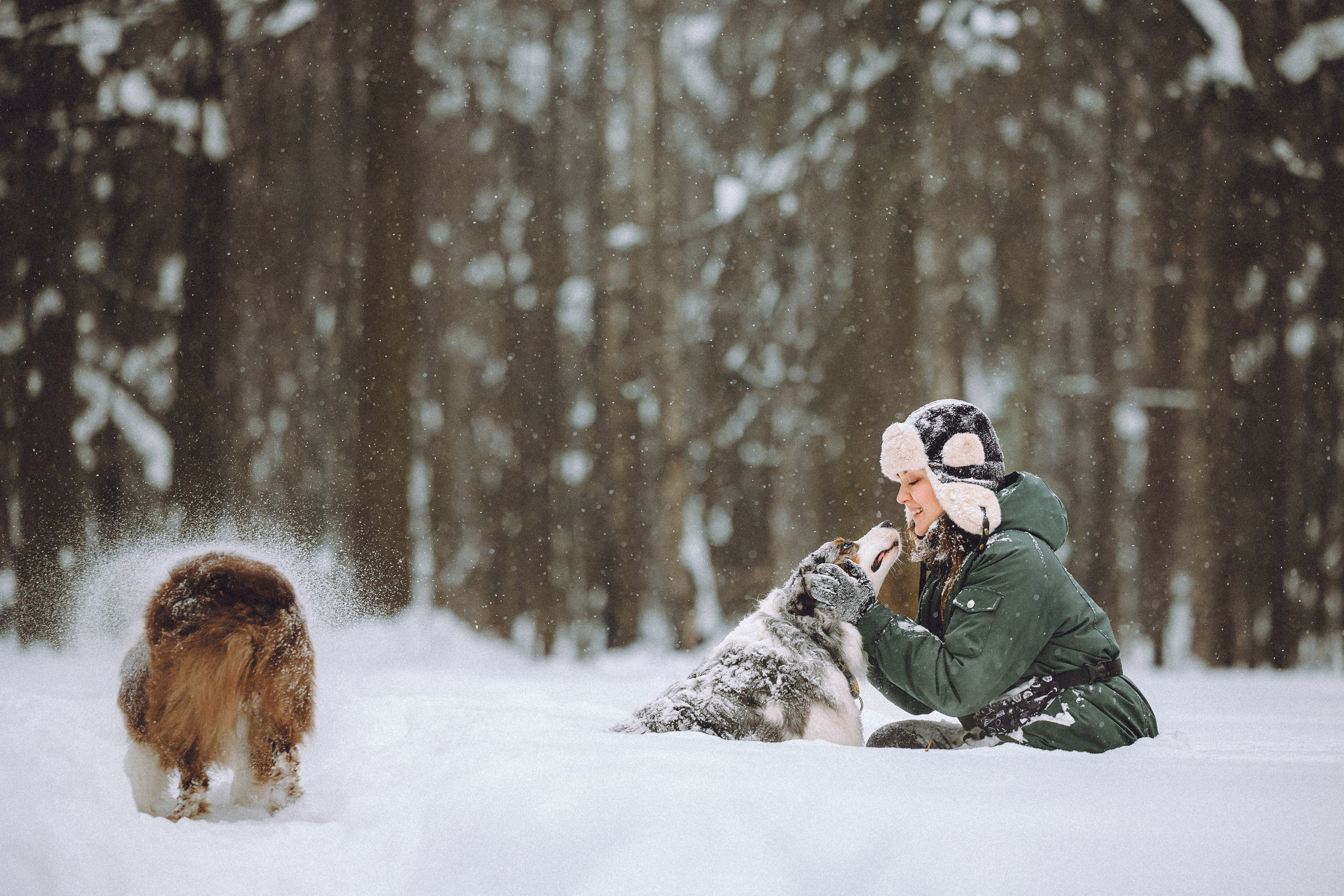 Лена, Принц и Фенек