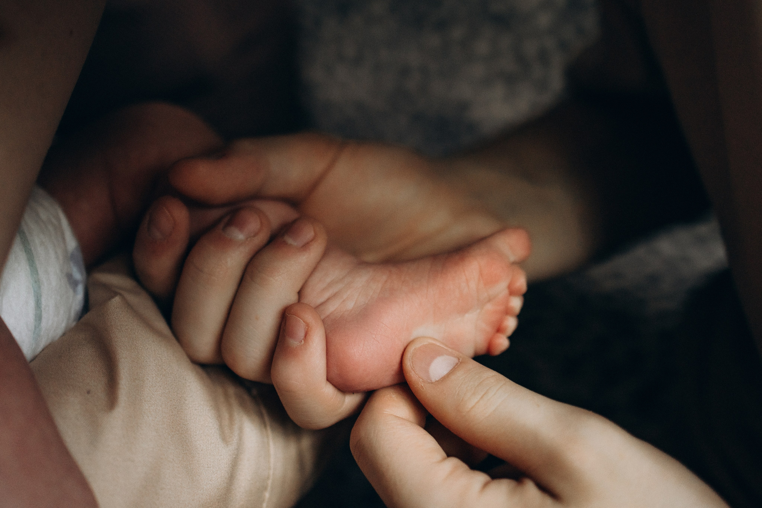 Теперь нас трое. Семейный фотограф Донецк