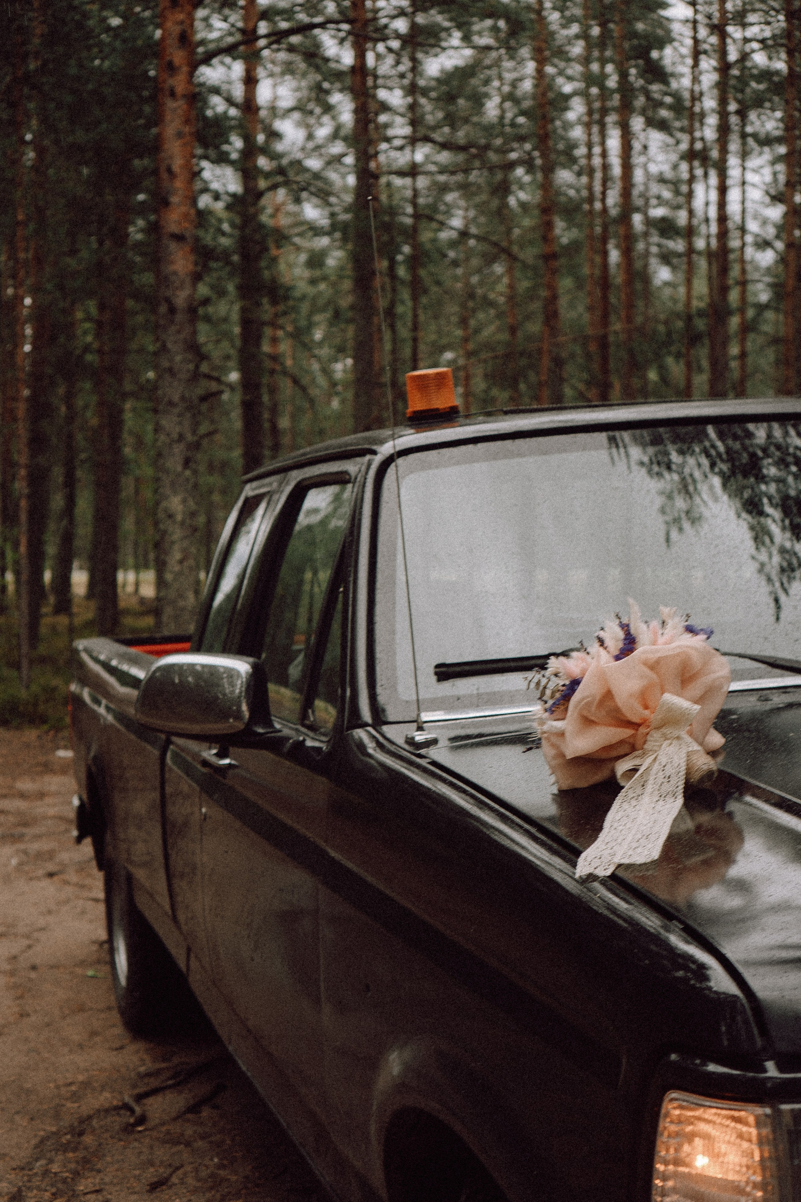 СВАДЕБНАЯ ФОТОСЕССИИЯ ПАРЫ В ГОРОДЕ ПРИОЗЕРСК В СОСНОВОМ ЛЕСУ И С ПИКАПОМ. Профессиональный фотограф, Санкт-Петербург — Виктория Богомолова