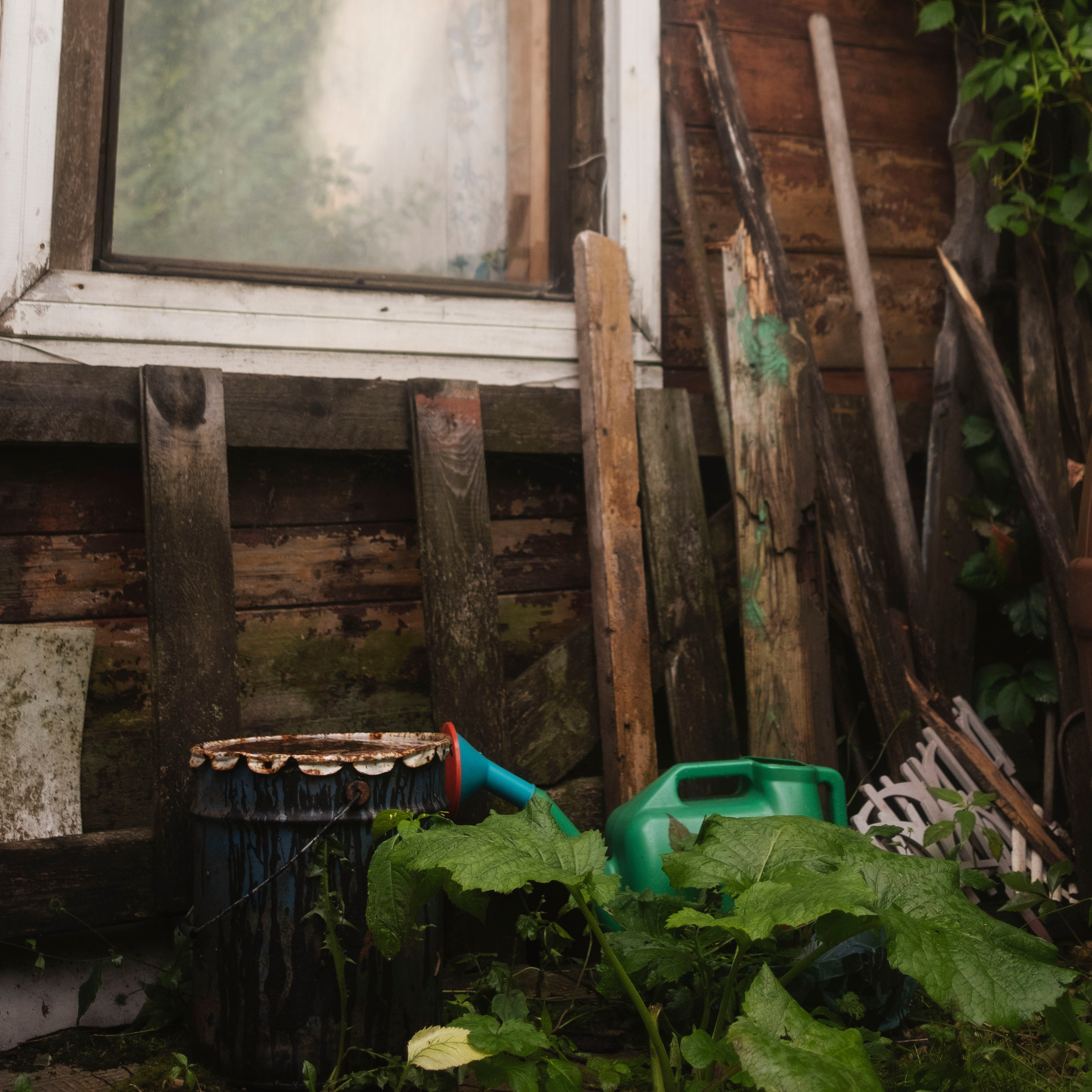 Дача, 2020. Портретный фотограф в Москве Евгения Яковенко