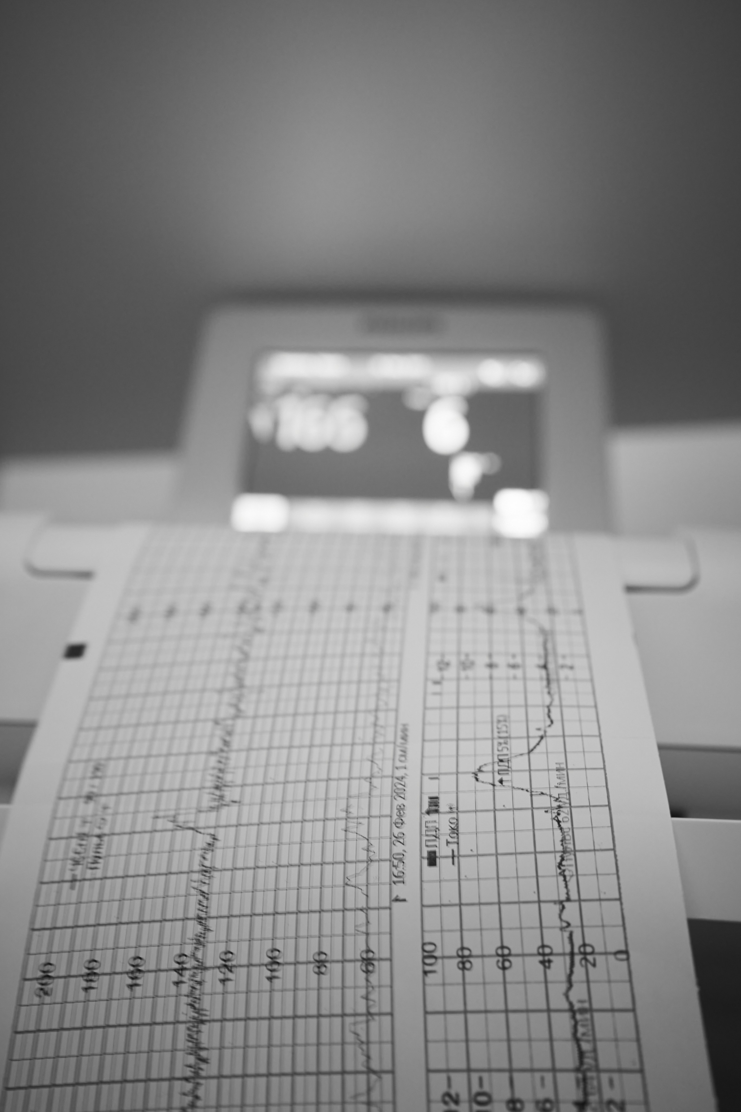 Февральское явление. Дзешульская, фотограф