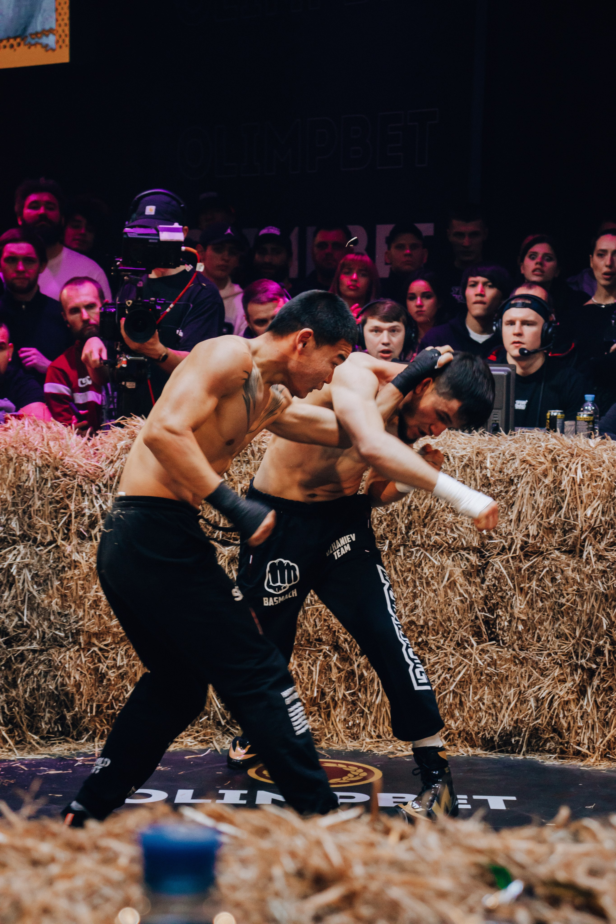 Кулачные бои TopDog. Анастасия Тен