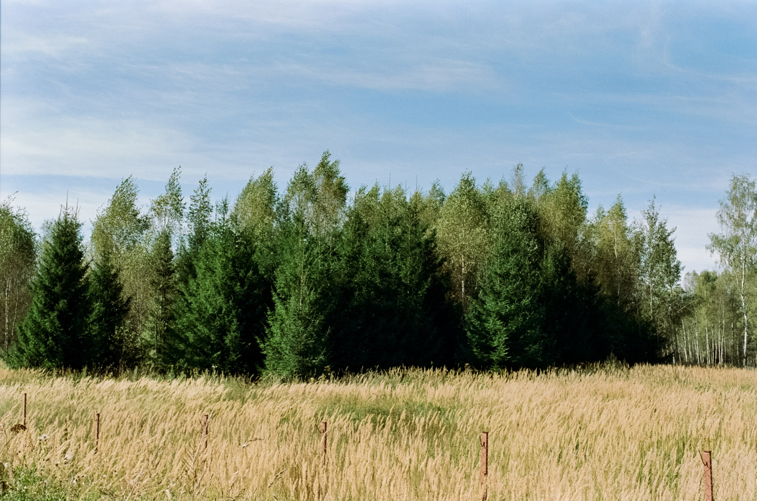 Mamiya 645 PRO обзор и примеры фотографий