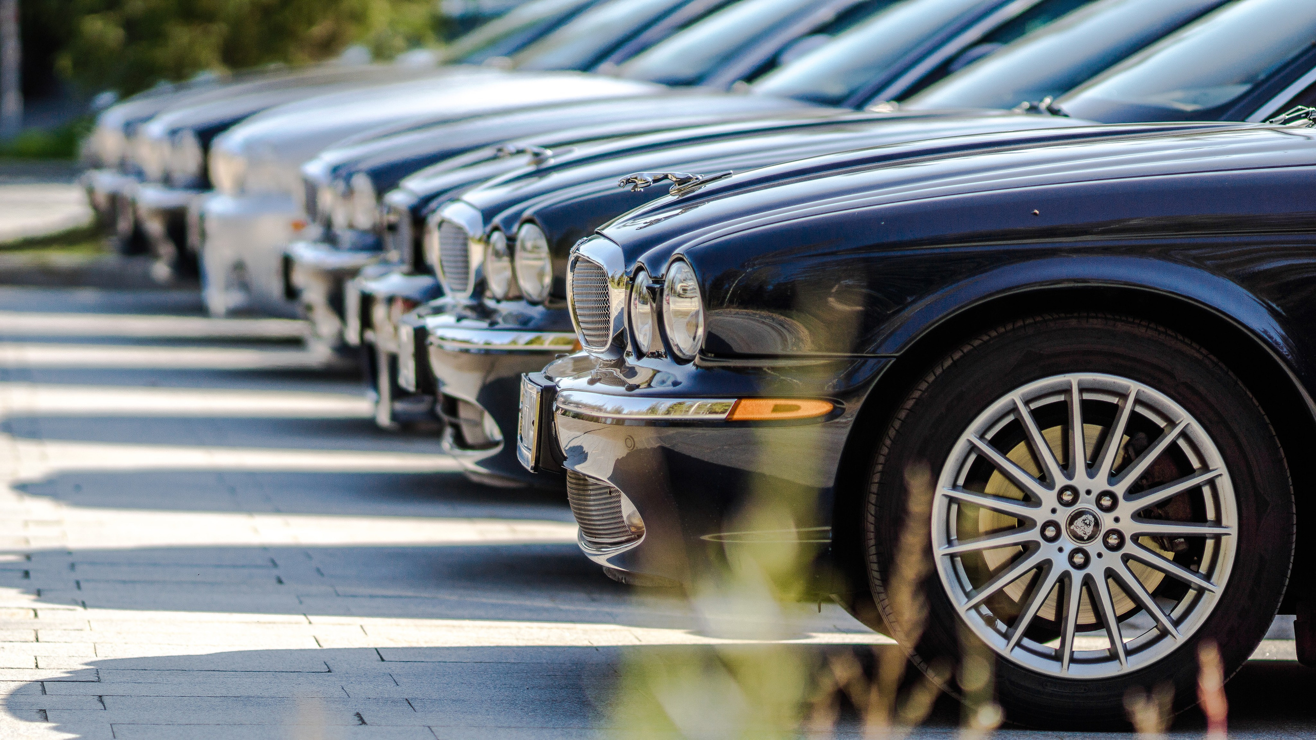 Фотосъемка автомобильного мероприятия посвященному Jaguar и автокультуре в России. Жуков Илья  свадебный фотограф в Москве