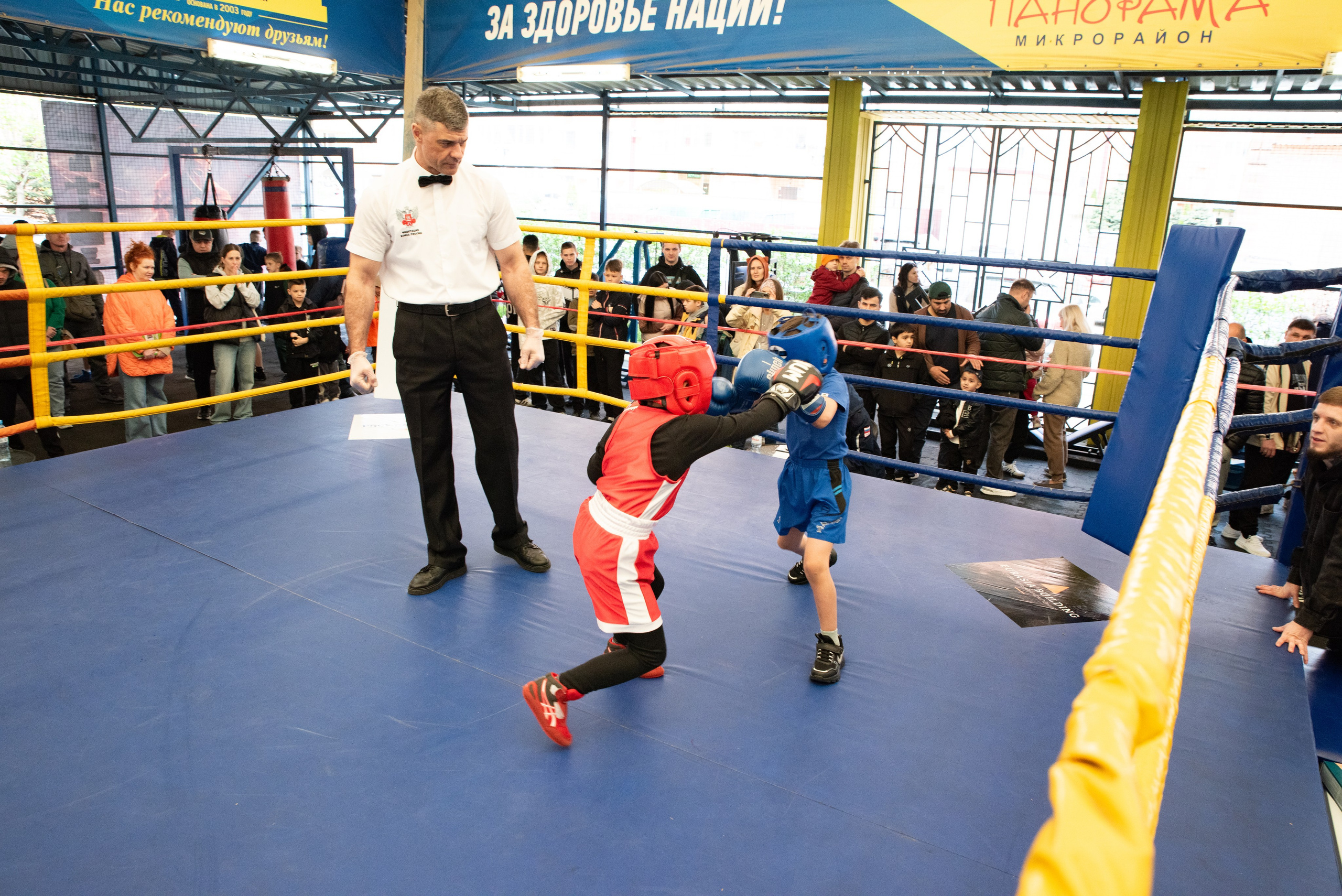 Соревнования GO FIGHT. Фотограф в Краснодаре Анна Карелина