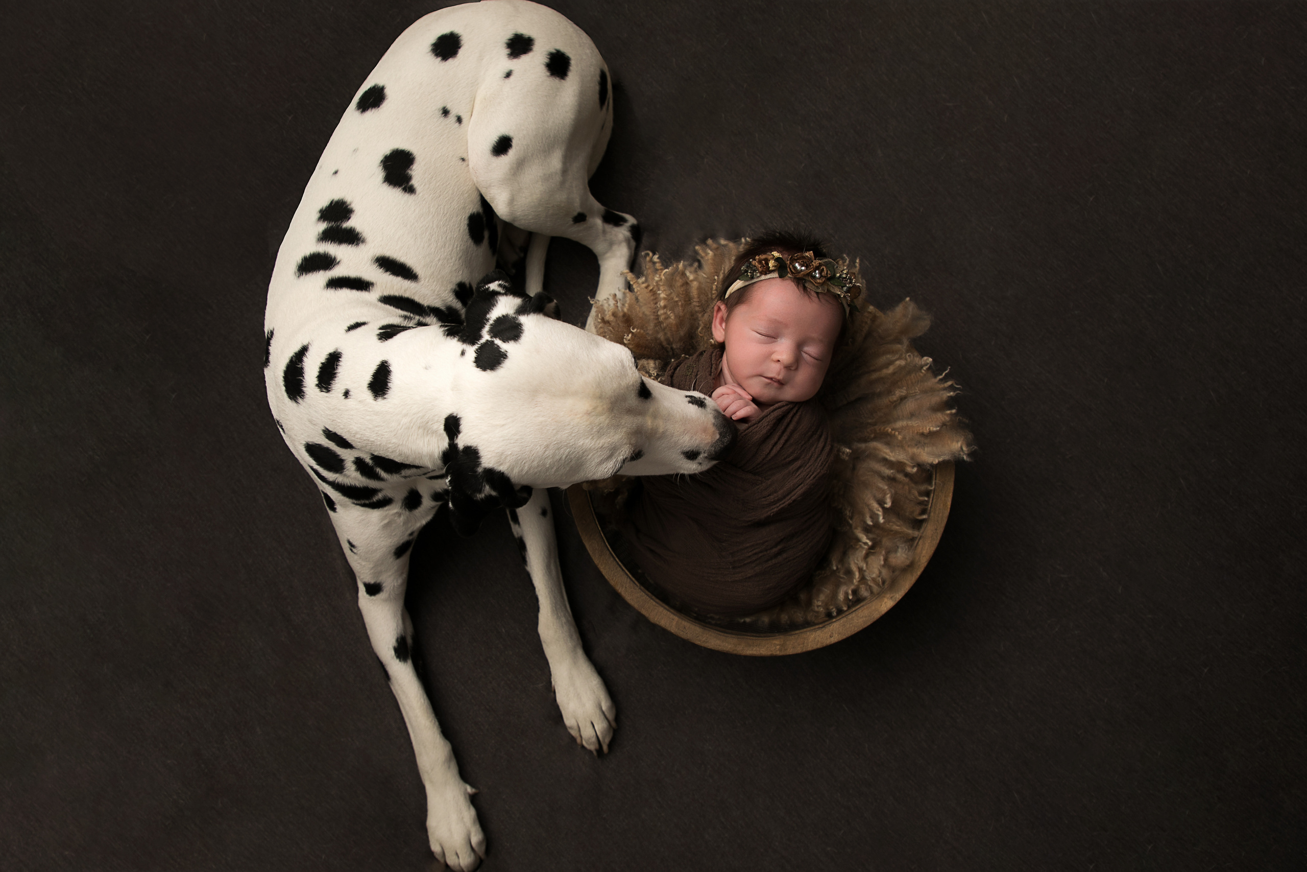 Малыши и Малышки. Фотограф новорождённых в Нижнем Новгороде и области Зелеленчукова Анна