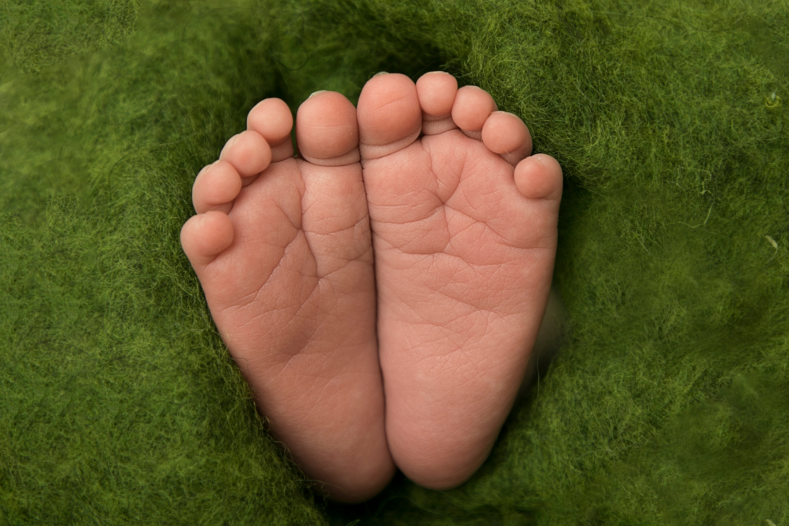 Макро Снимки. Фотограф новорождённых в Нижнем Новгороде и области Зелеленчукова Анна