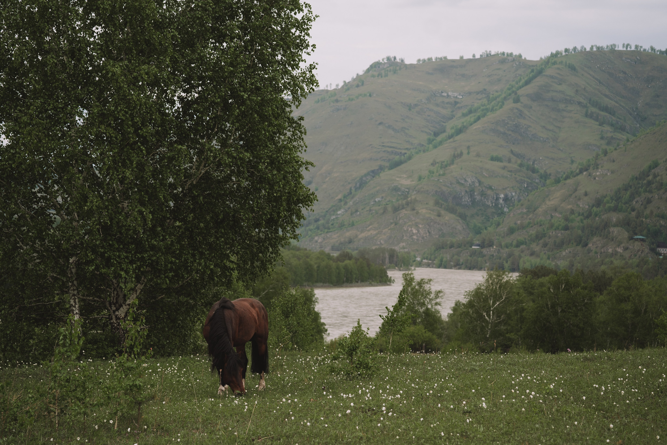Настя & Вагарш. Свадебный фотограф в Воронеже Дарья Володарская
