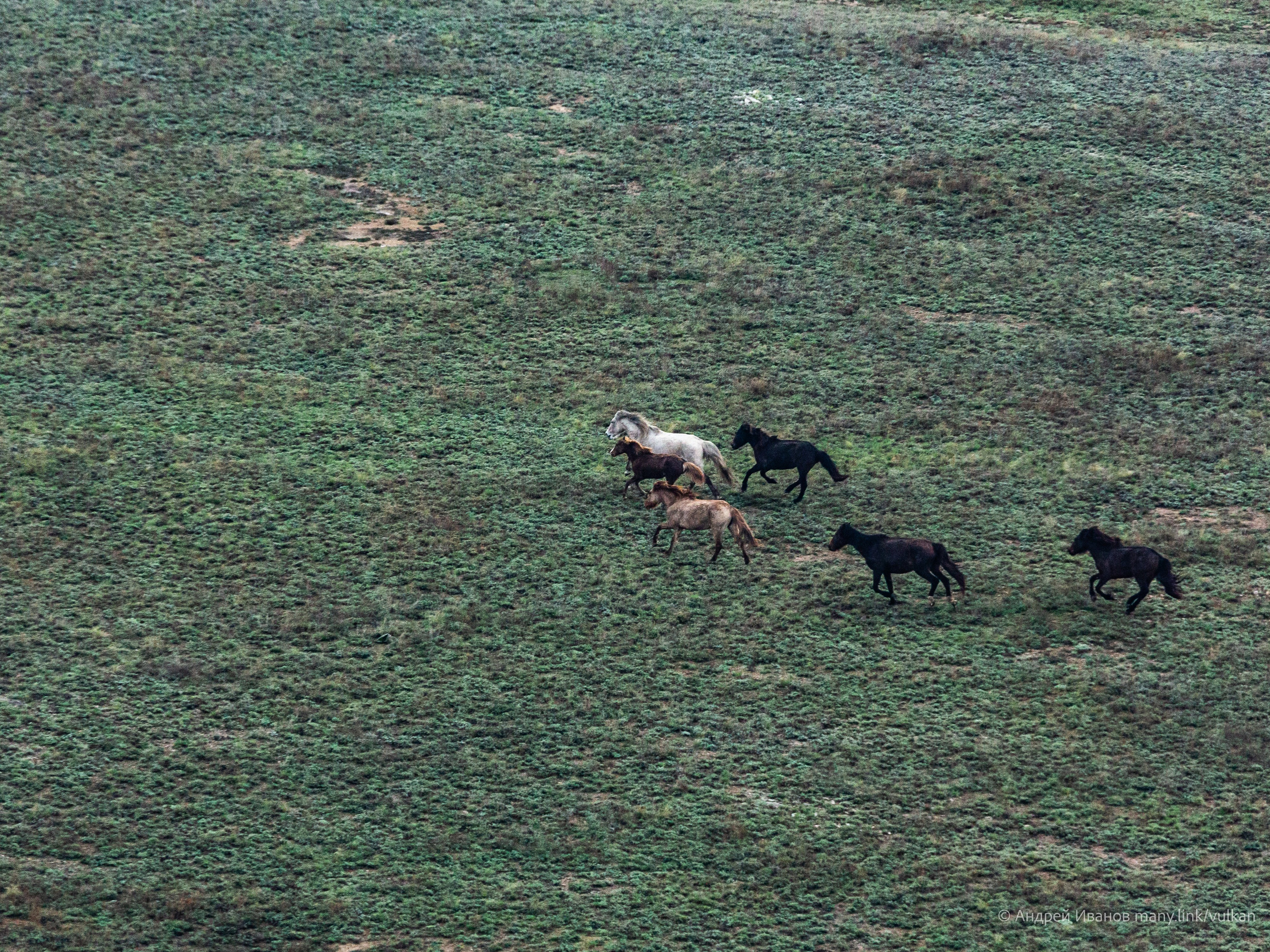 Перелёт на Байконур в 2026 г на самолётах АОН. Фотоальбом показывающий увлекательный мир авиации и мир медведей Андрея Иванова