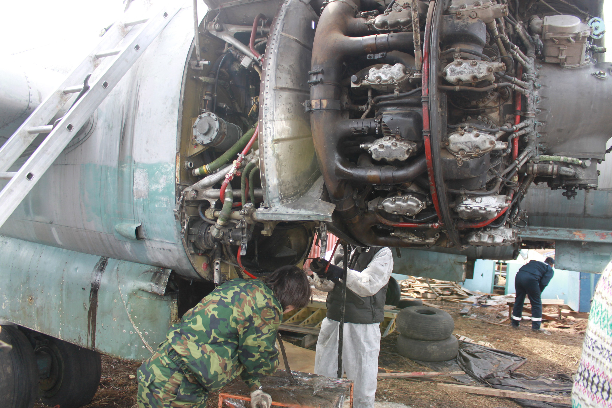 Ил-14Т «Голубая Мечта» работы в Тушино (2011 г.). Фотоальбом показывающий увлекательный мир авиации и мир медведей Андрея Иванова