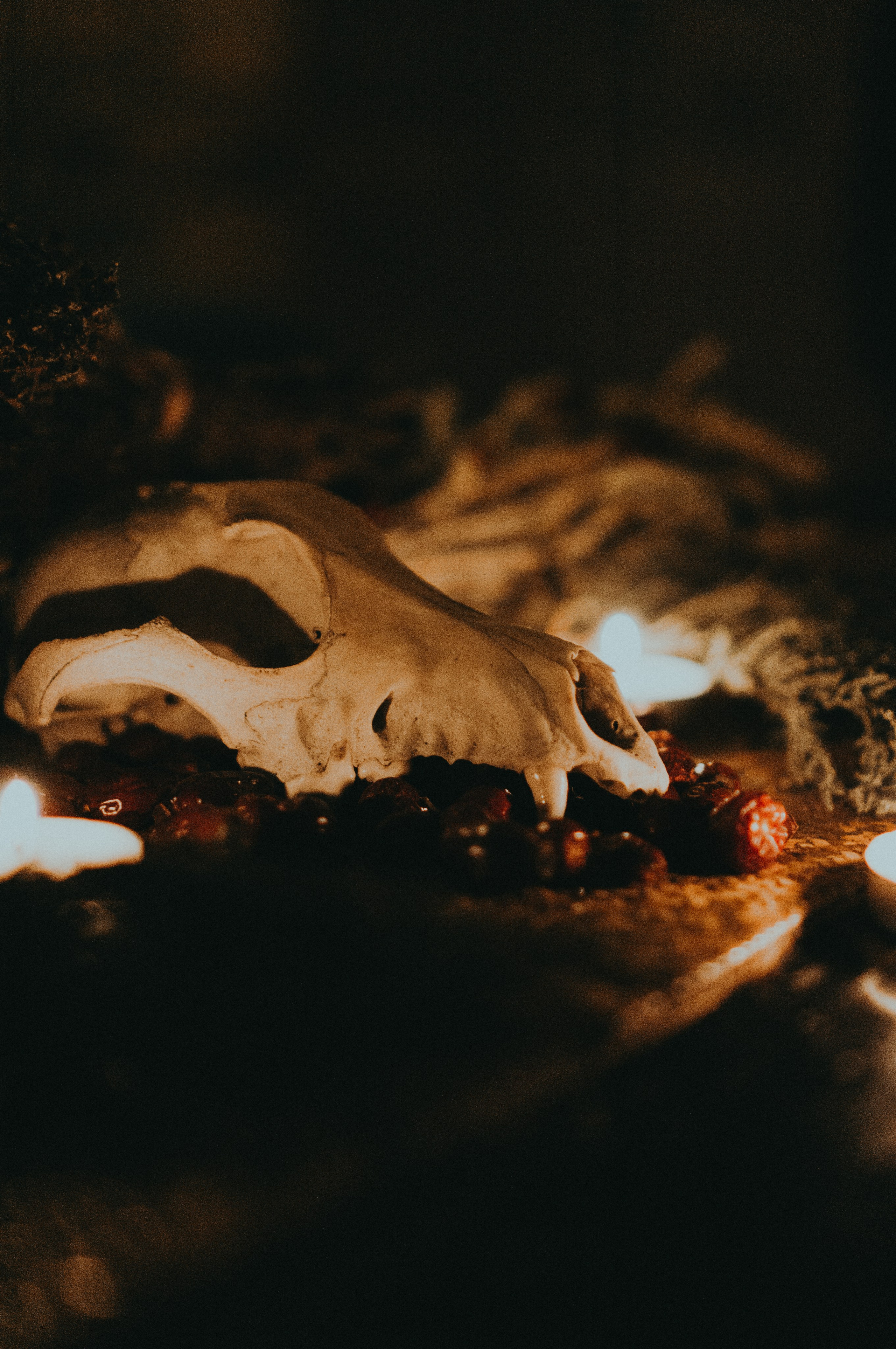 Надежда | Дом трав. Обо мне