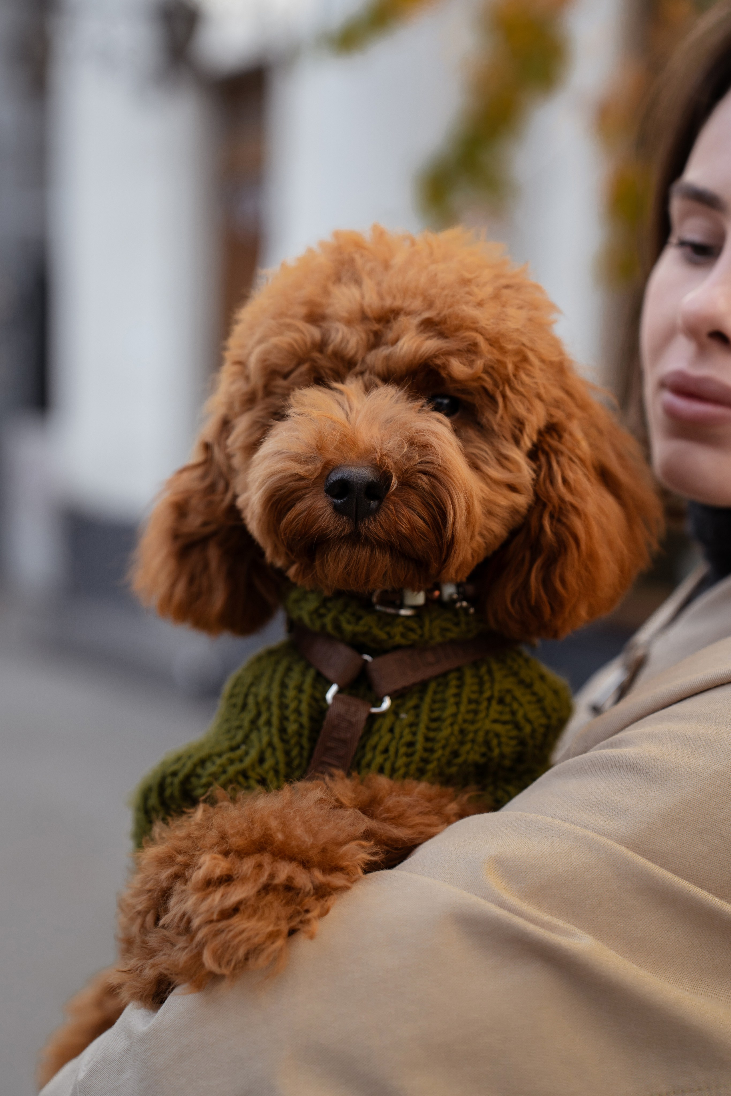 Таня и Боня. Фотограф Севастополь — Климова Анастасия