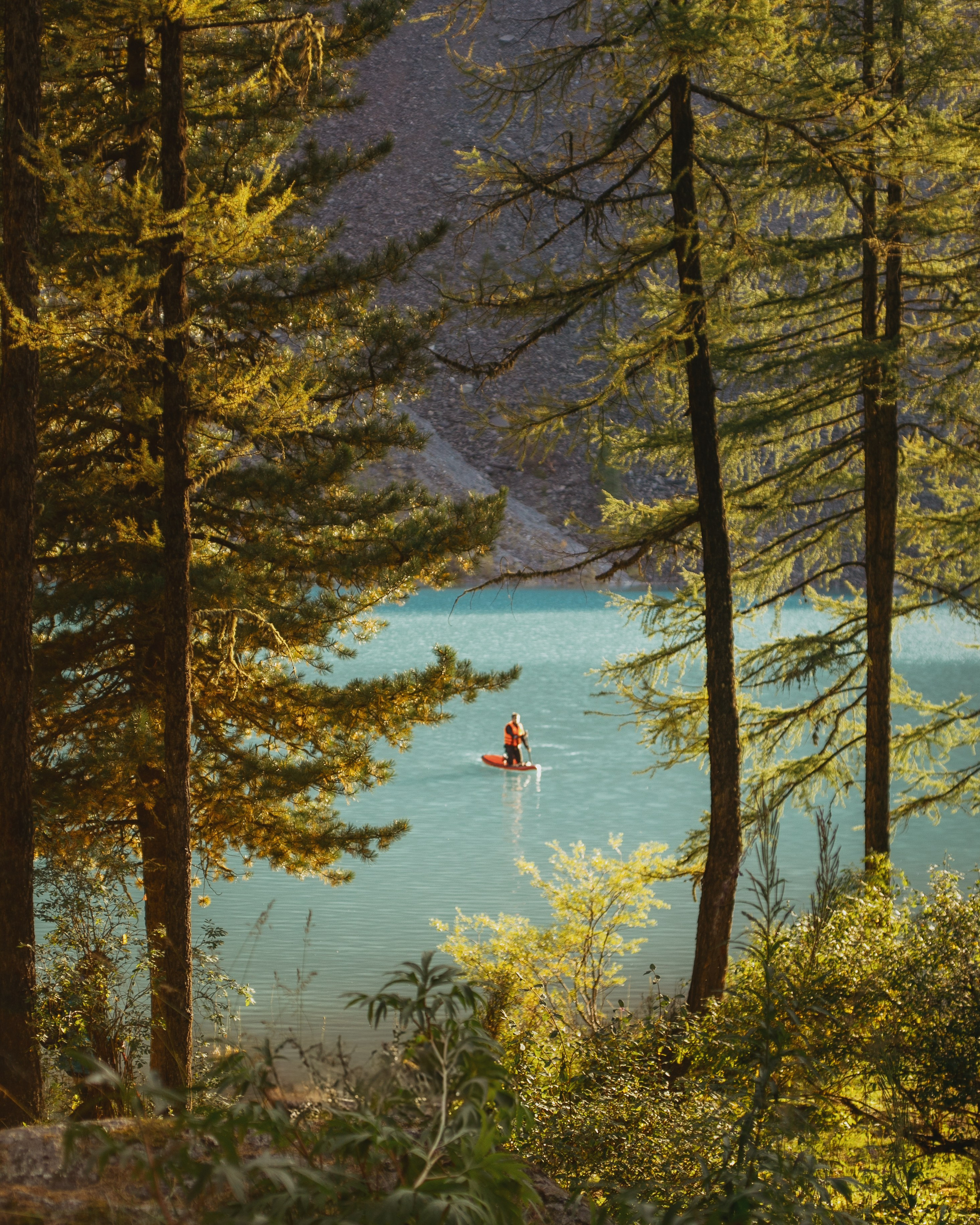 Шавлинские. Главная