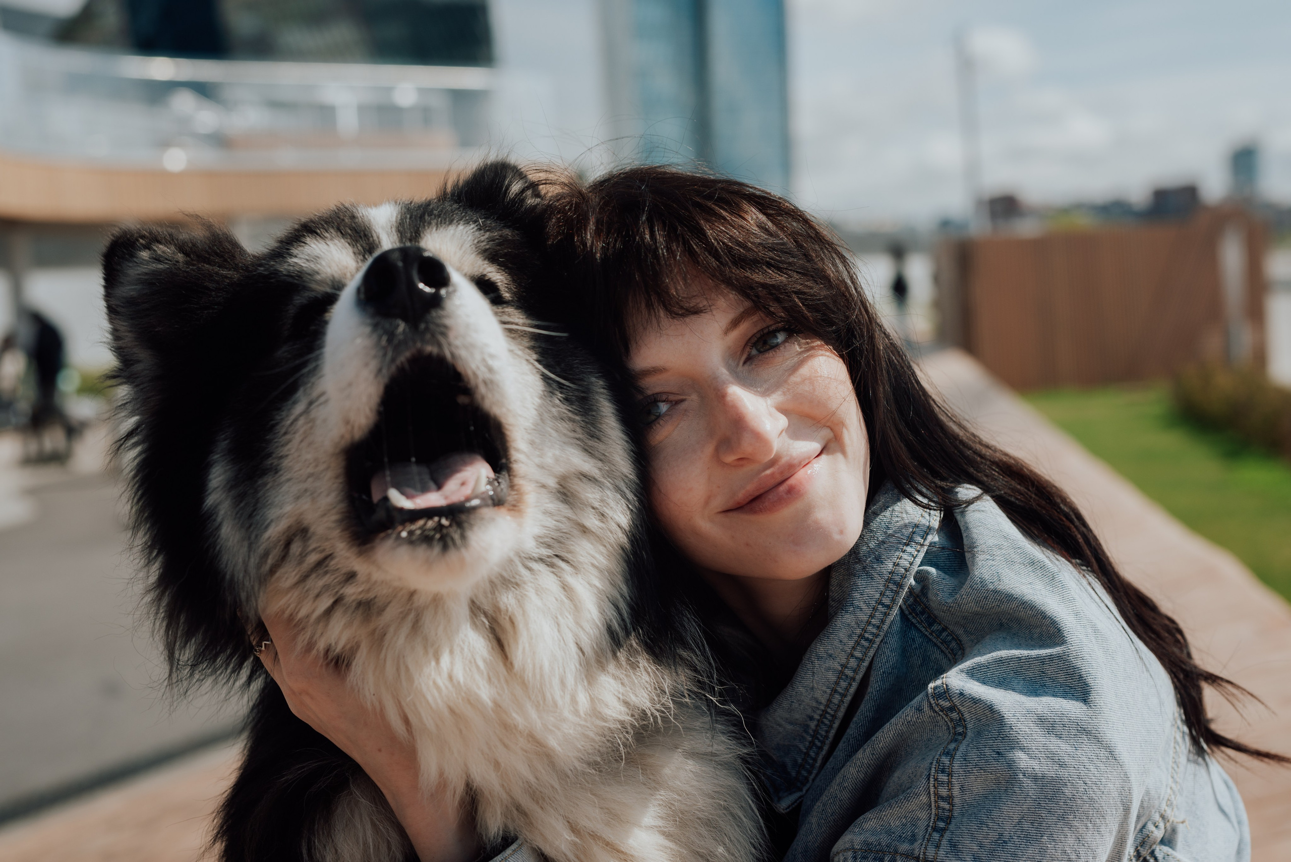 Фотодень с хаски. Фотограф в Санкт-Петербурге и Ленинградской области