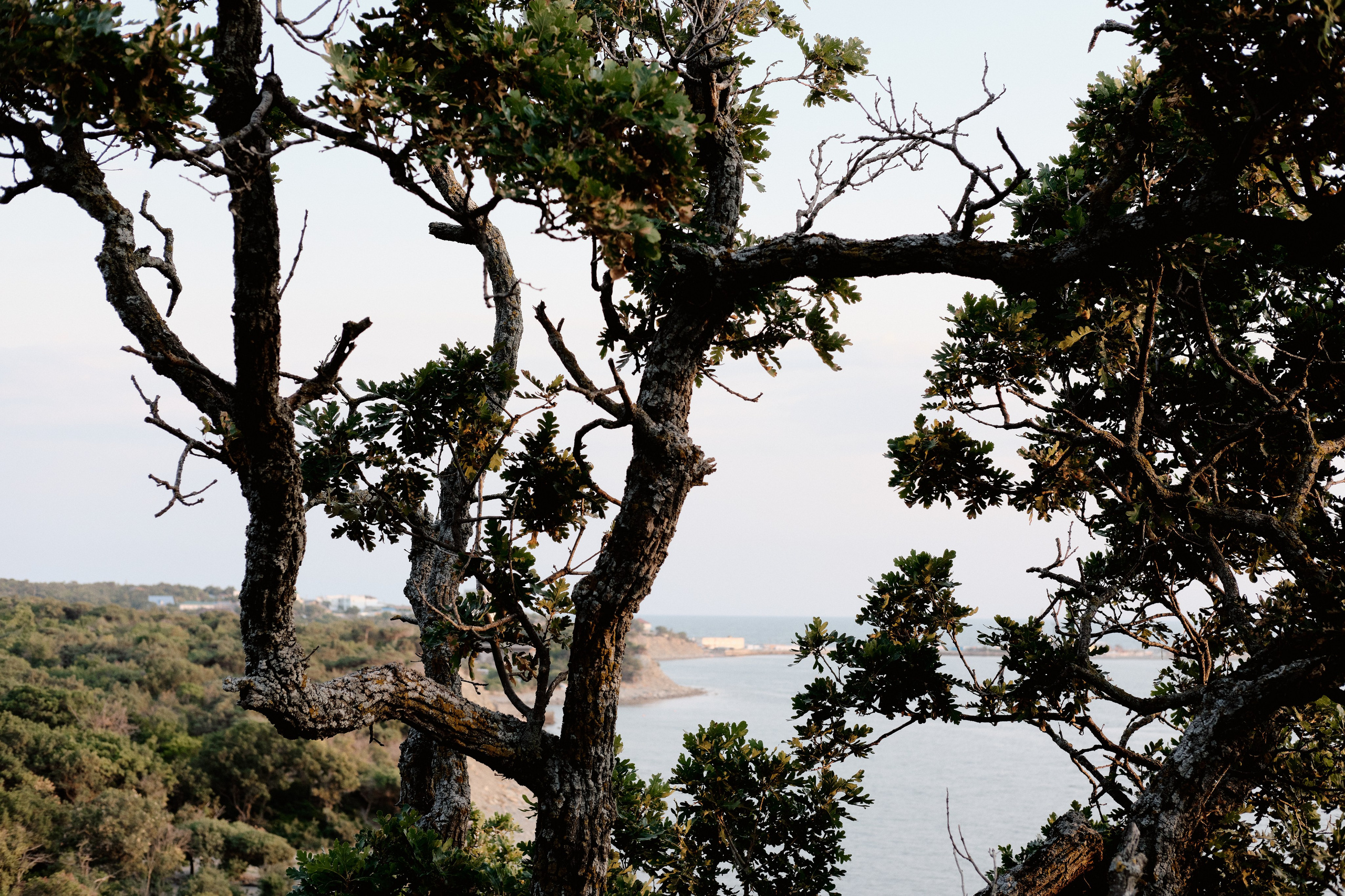 Утриш. Фотограф в Анапе и Краснодаре Тина