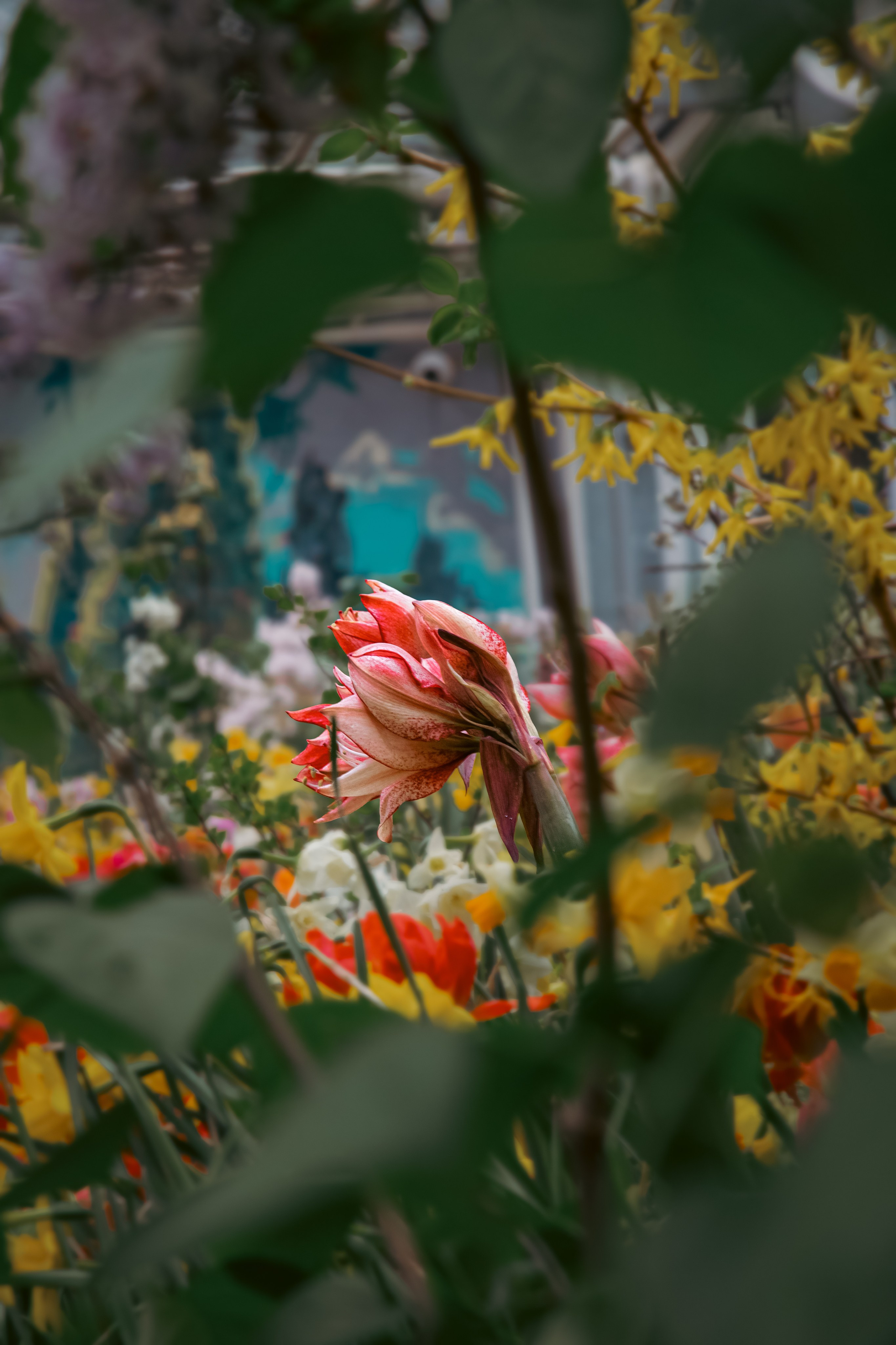 Персидский сад. Dmitriy [KCCC] is a pretty cool photographer