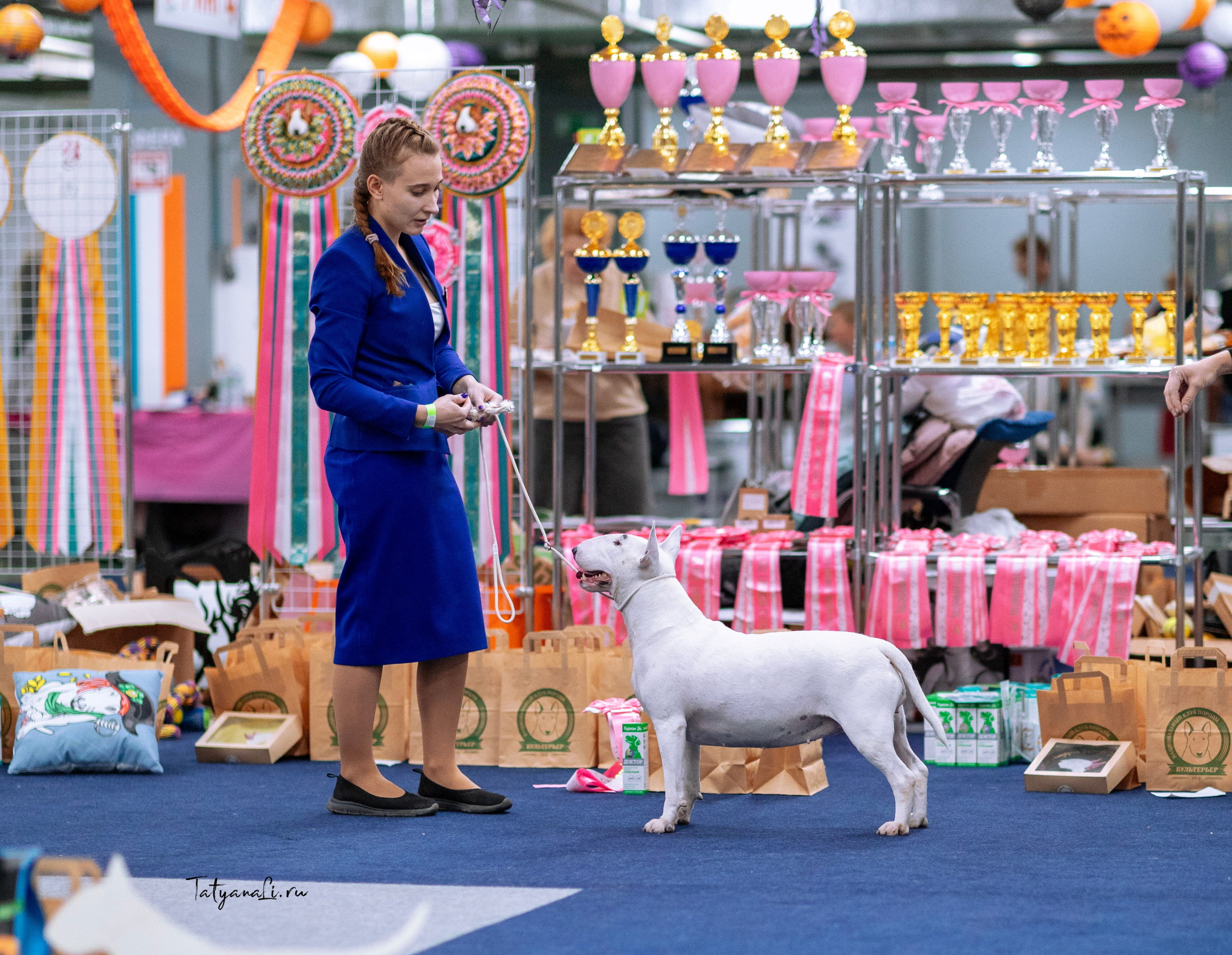 Выставки. Фотограф — анималист Татьяна Ли